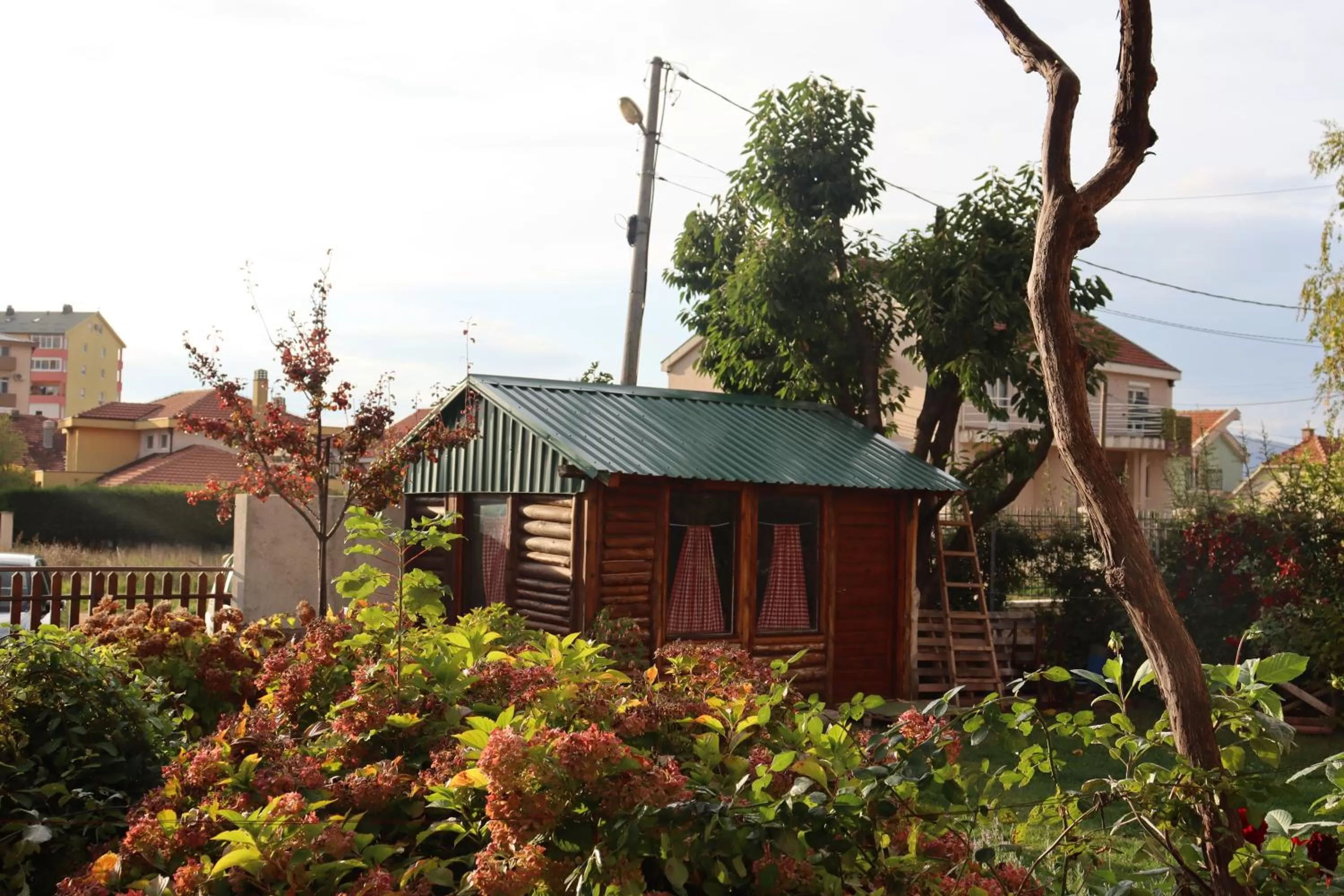 Property Building in Frile Apartments