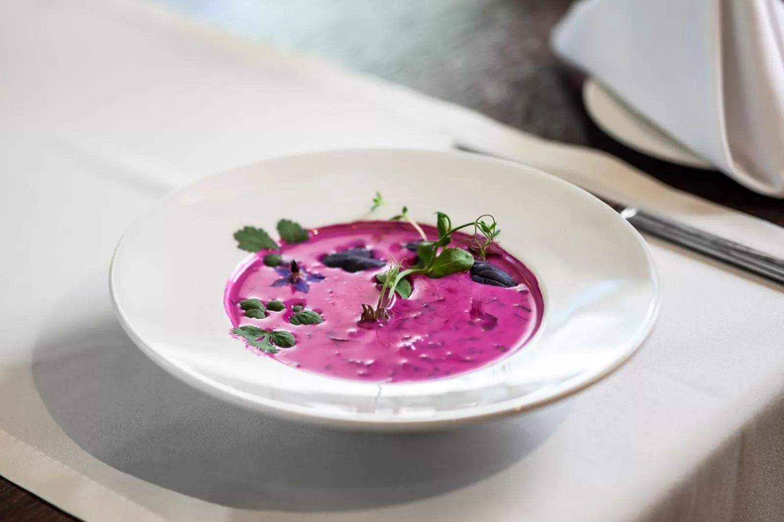 Food close-up in Warmiński Hotel & Conference