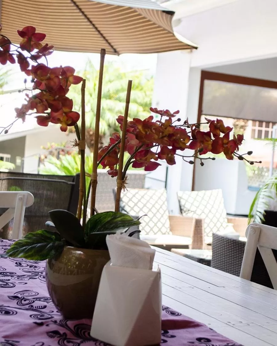 View (from property/room) in Vf Hotel