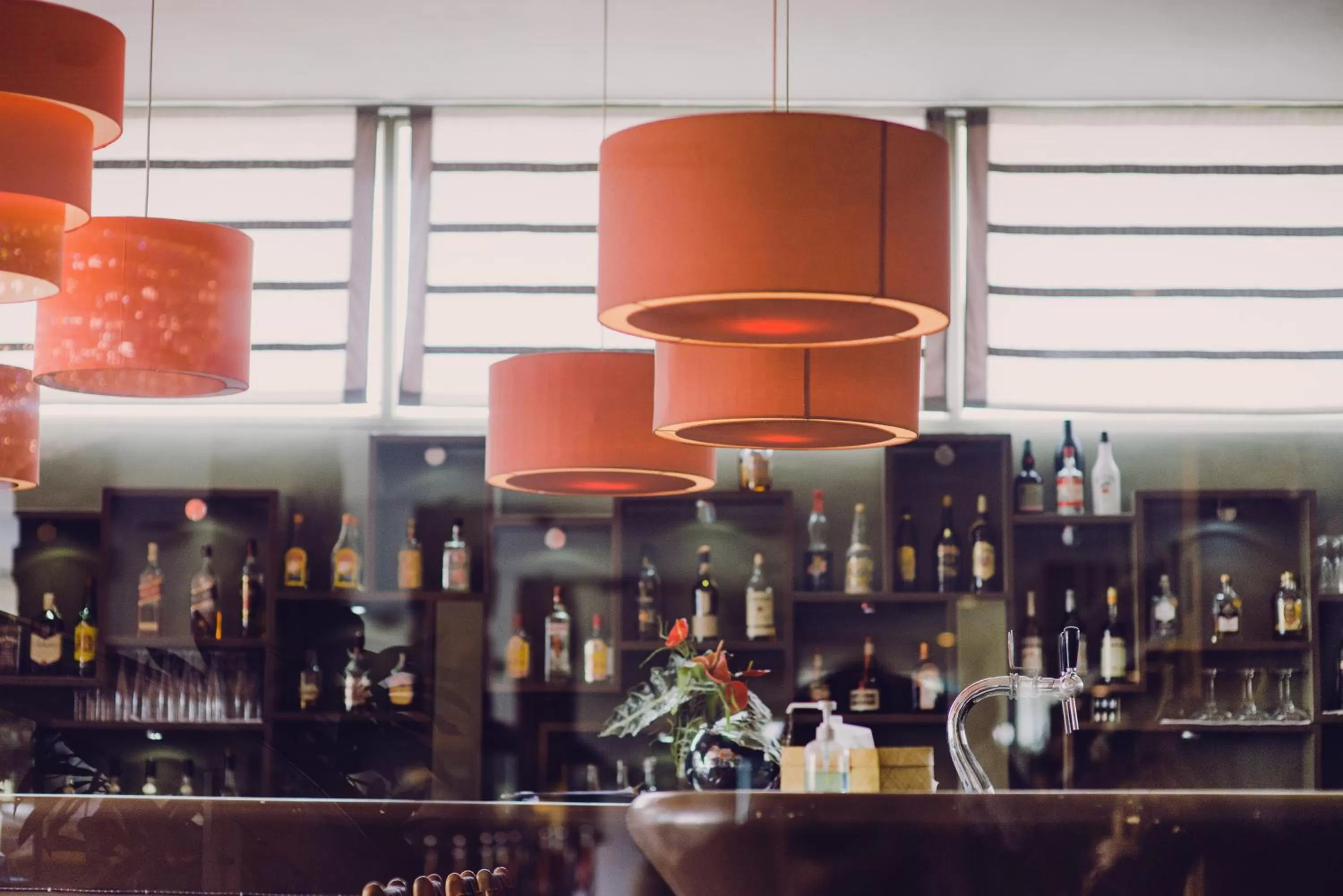 Garden in Carlton Madagascar