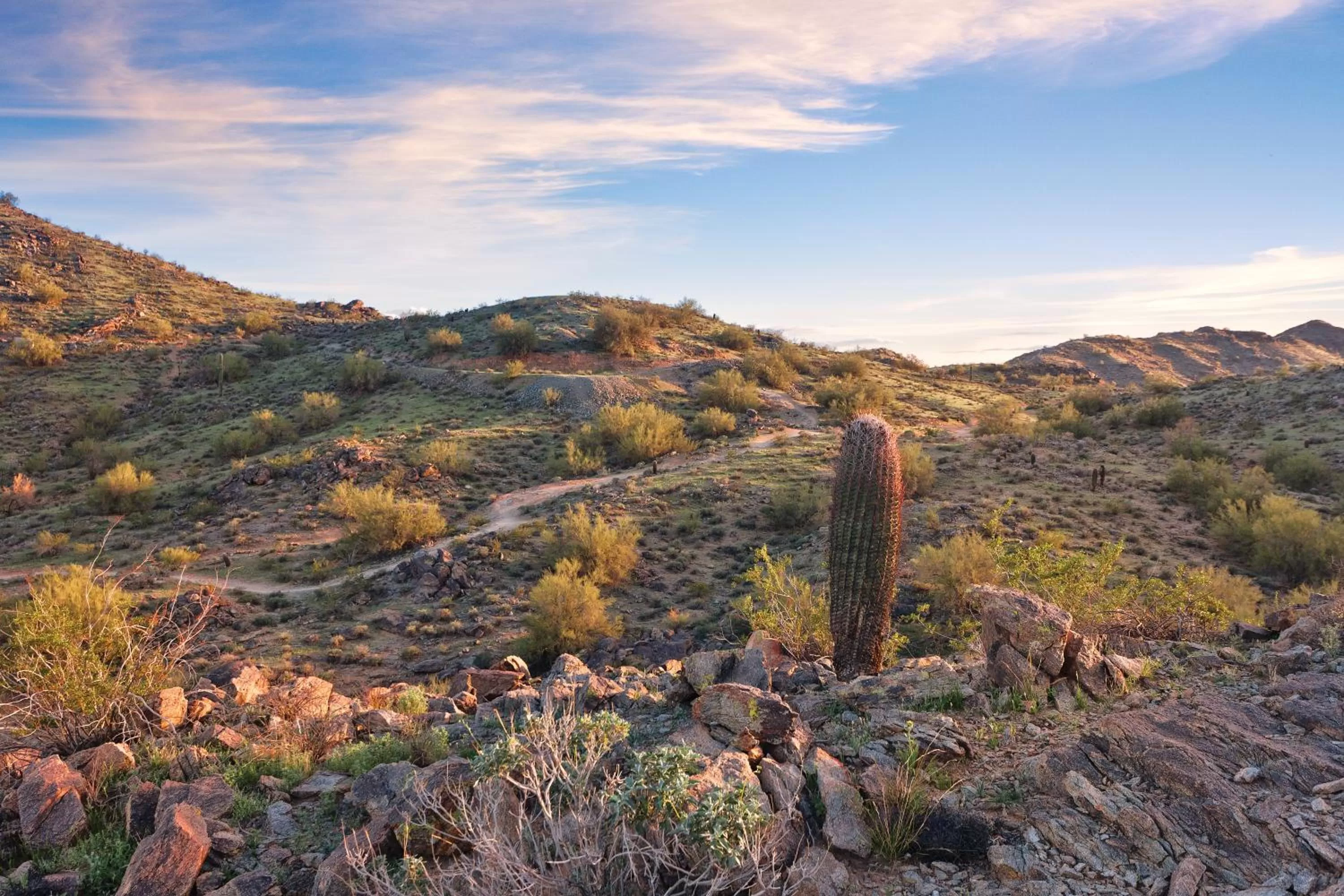 Other in Raintree at Phoenix South Mountain Preserve