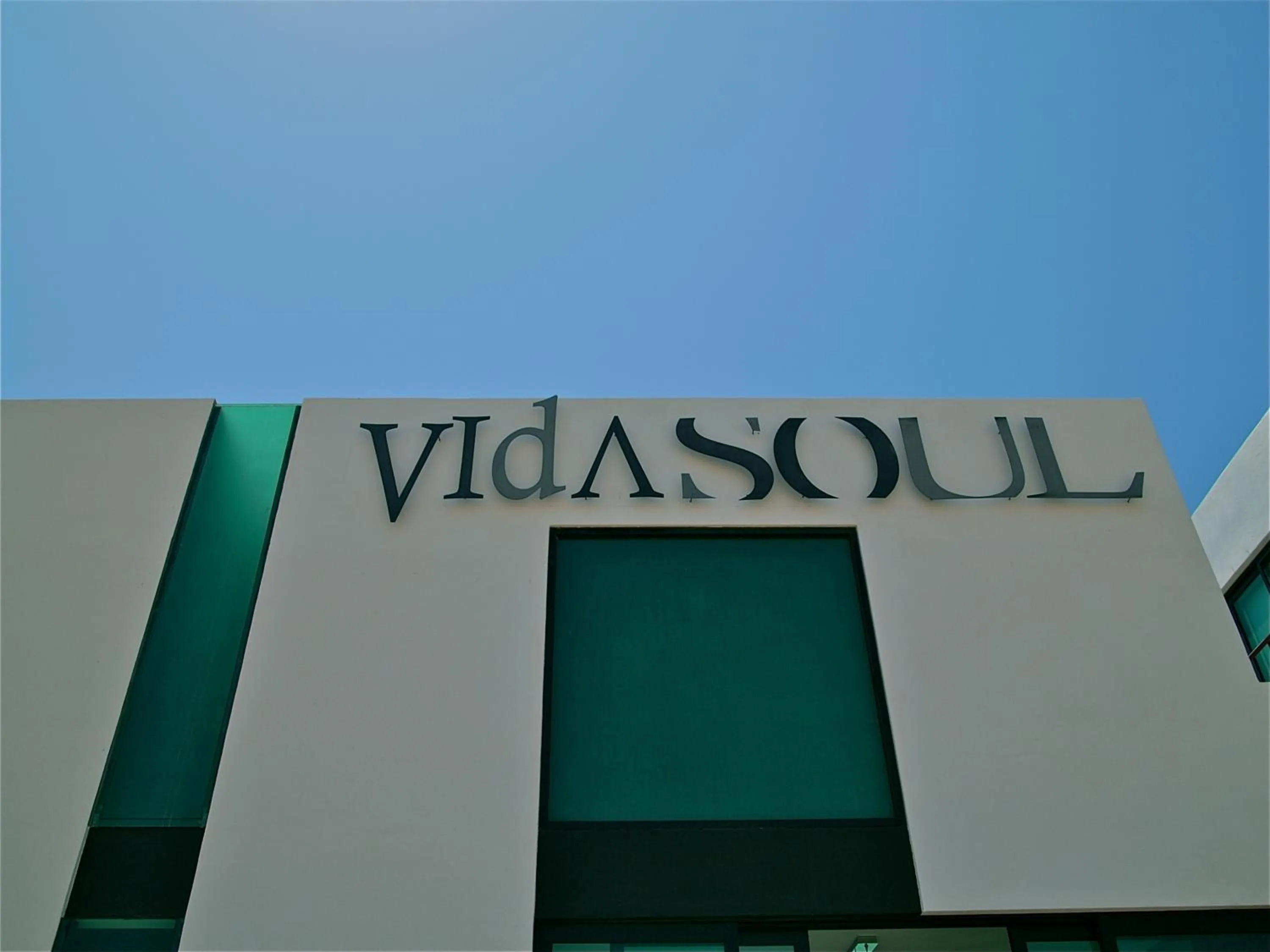 Day in Vidasoul