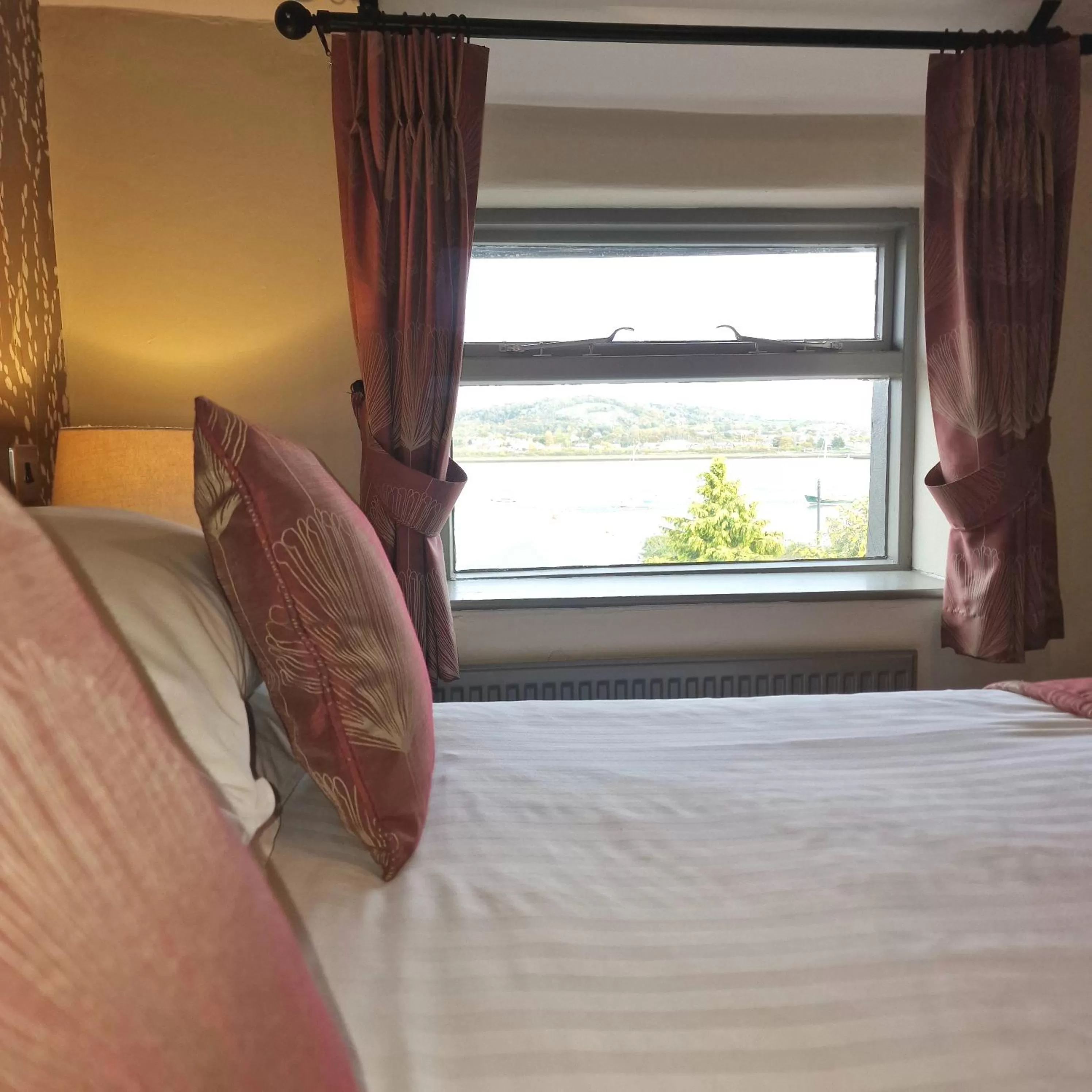 Bed, Other Animals in George & Dragon, Conwy