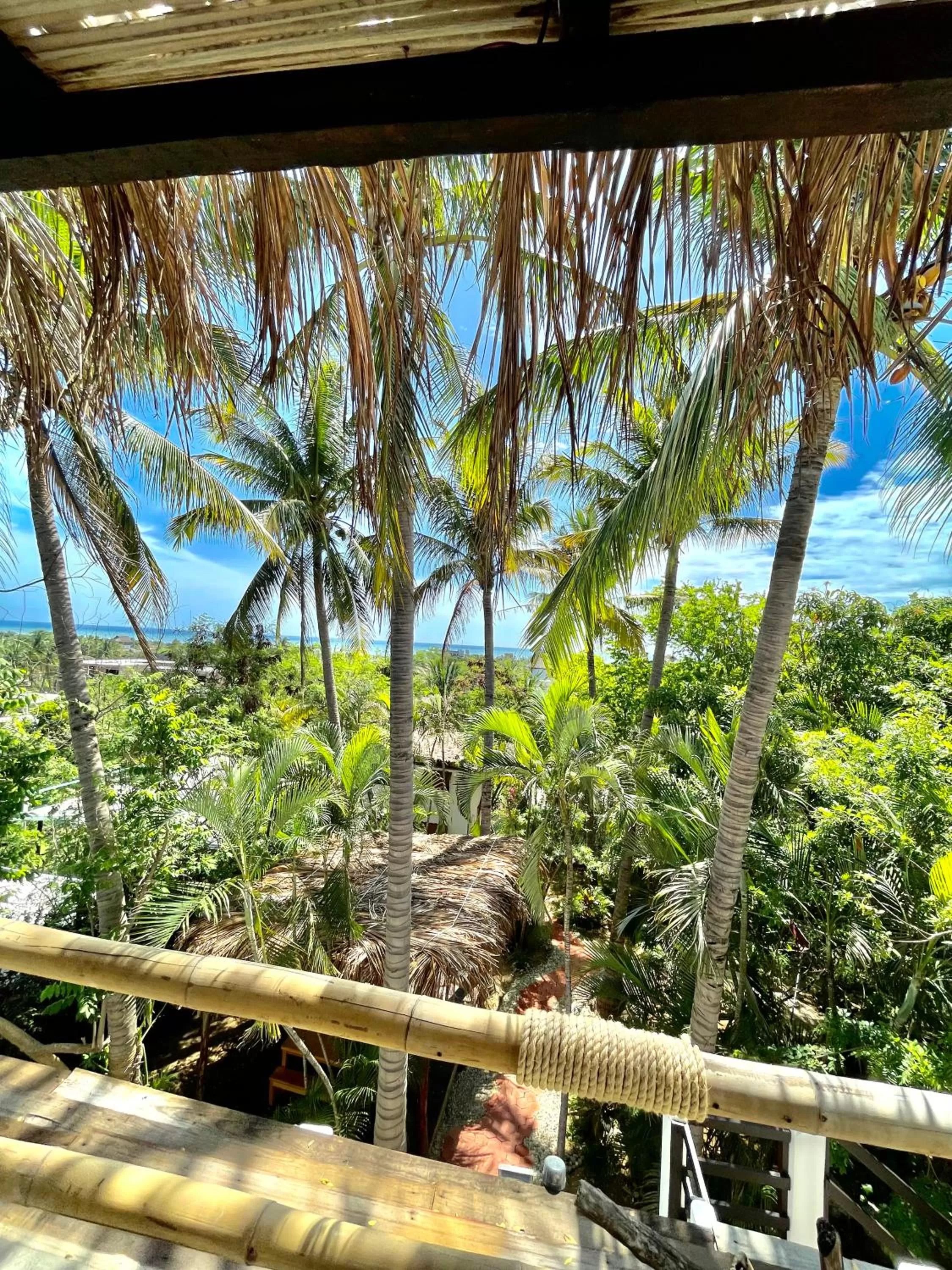 Garden view in El Eden Escondido