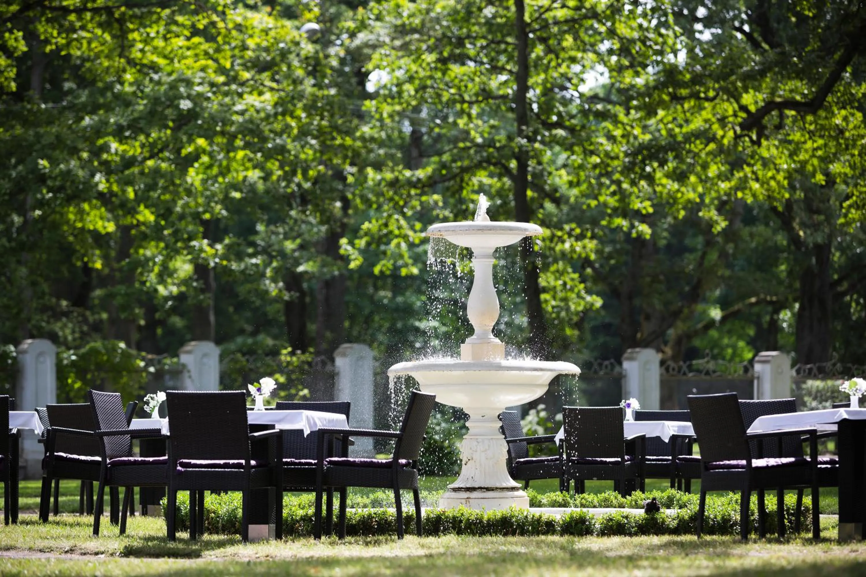 Garden view in Villa Ammende Restaurant and Hotel