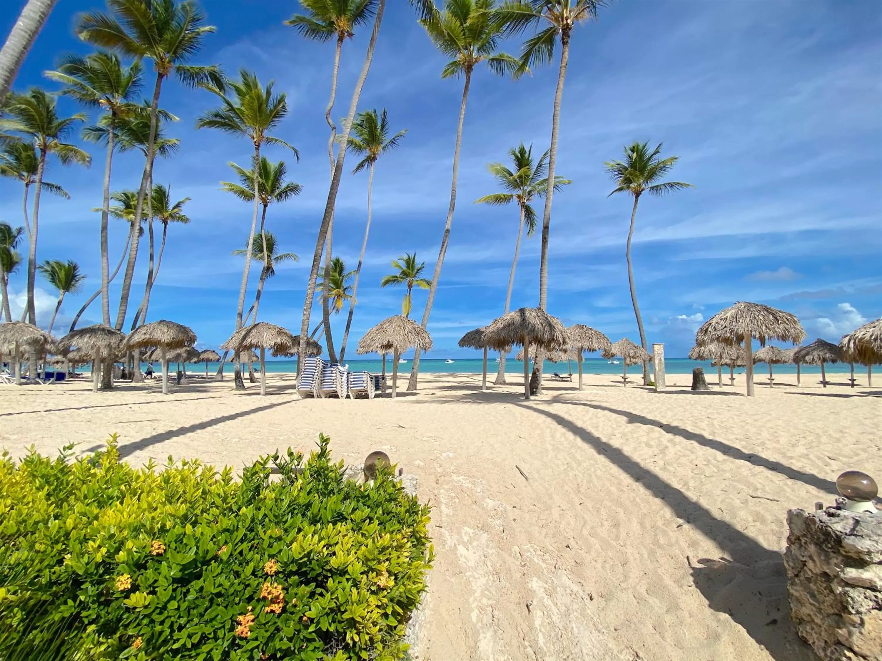 Beach in TROPICAL VILLAGE playa LOS CORALES