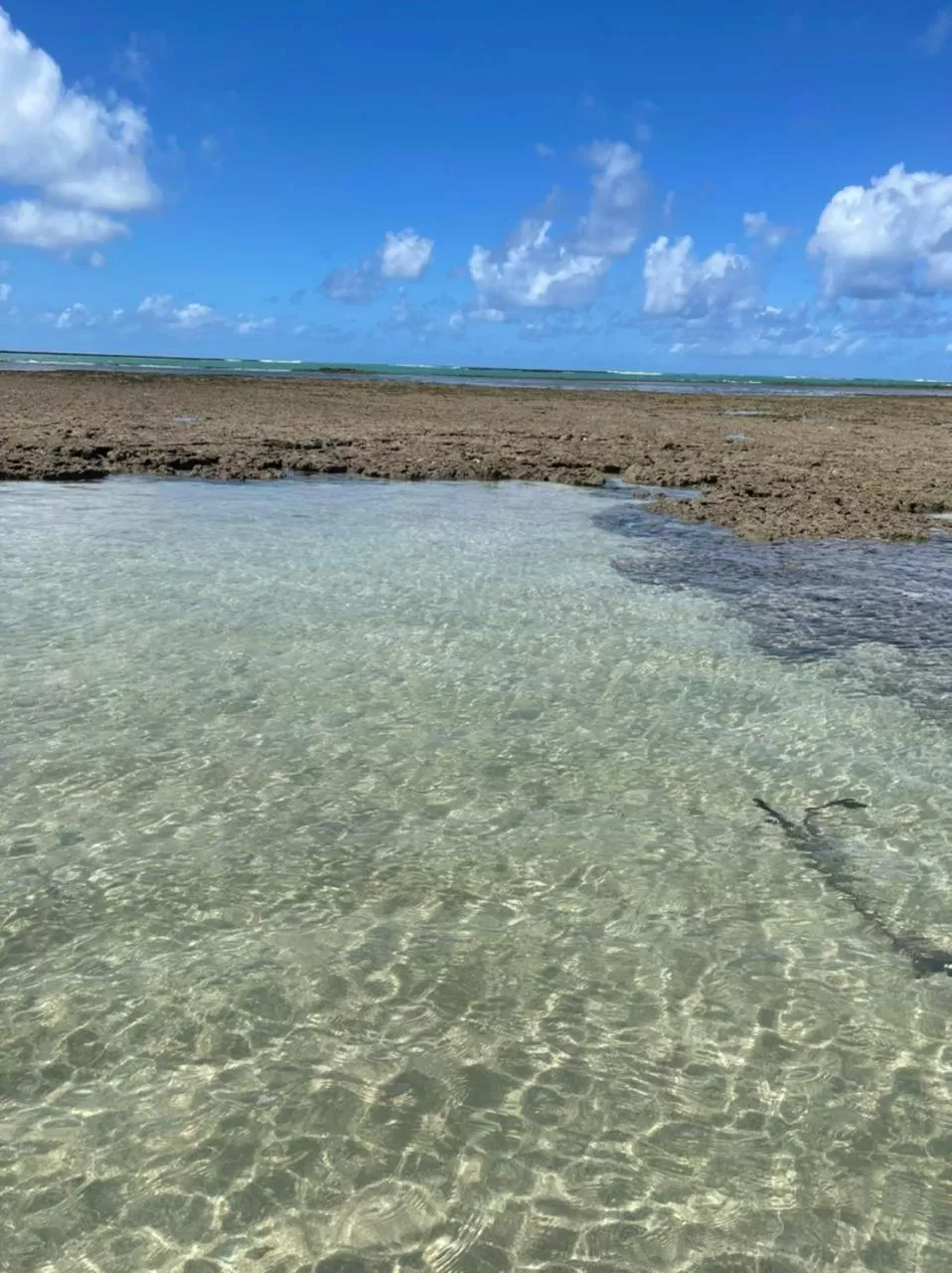 Beach in Chalé Palhano Beach