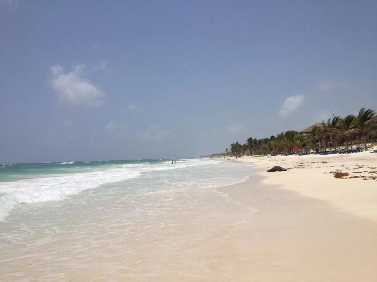 Beach in Ocean Lodge - New Building