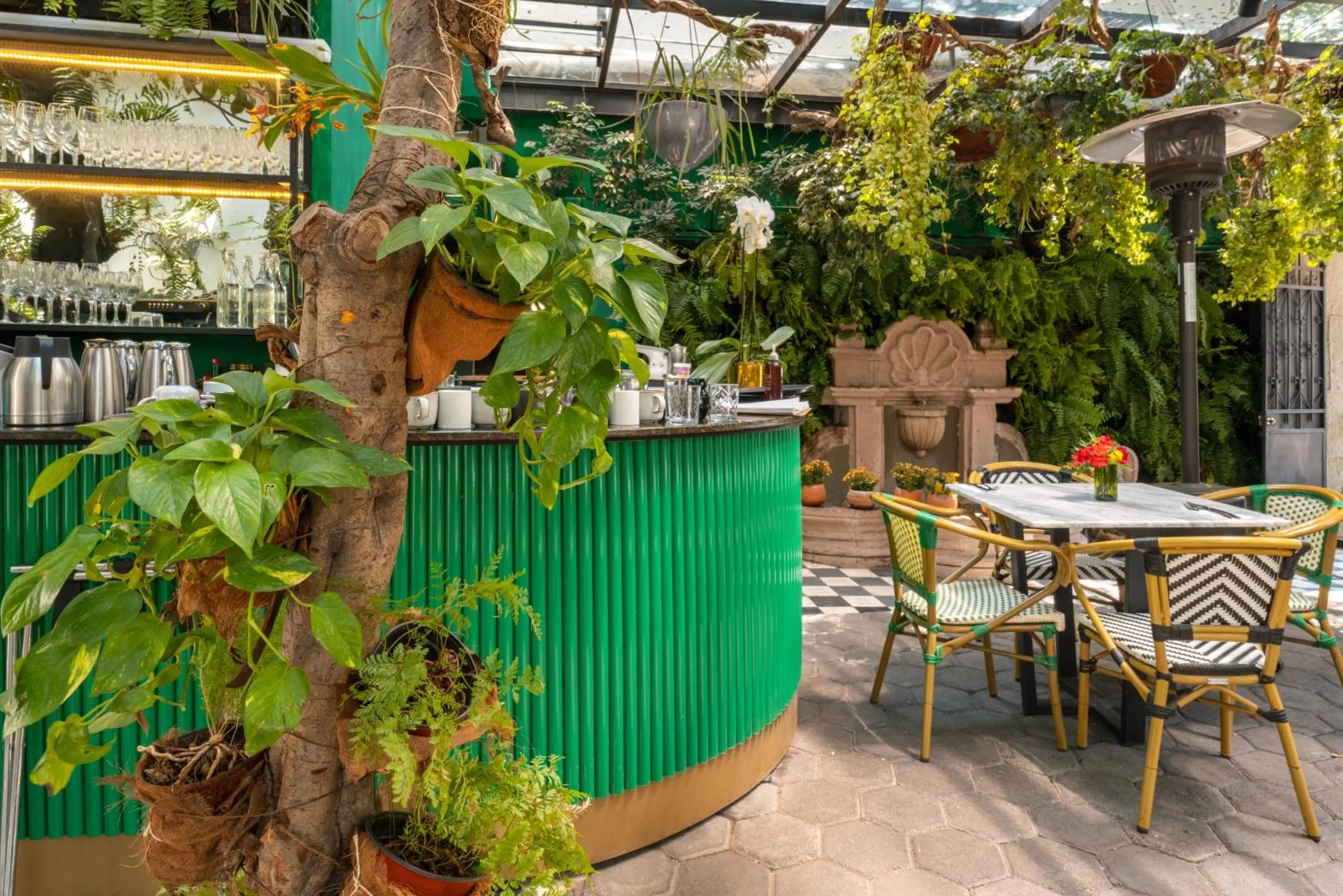 Restaurant/places to eat in Orchid House Mexico City