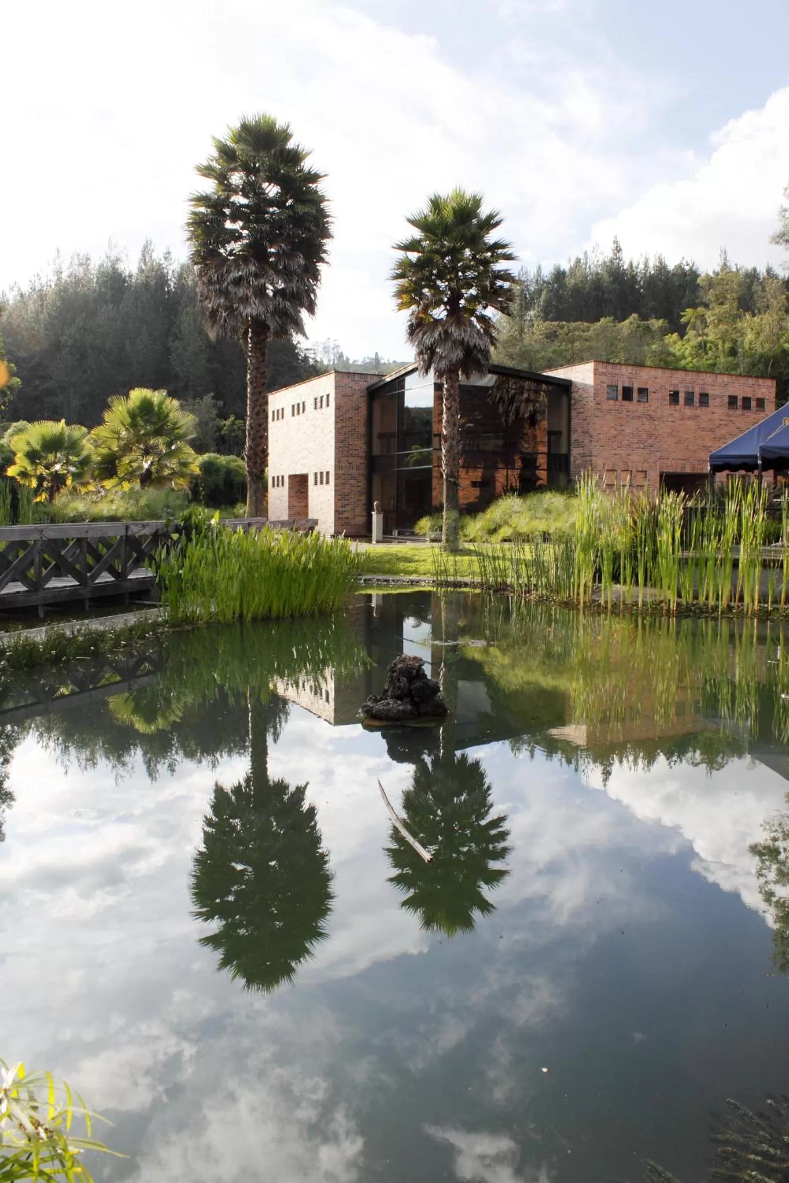 View (from property/room) in Estelar Recinto Del Pensamiento Hotel Y Centro De Convenciones