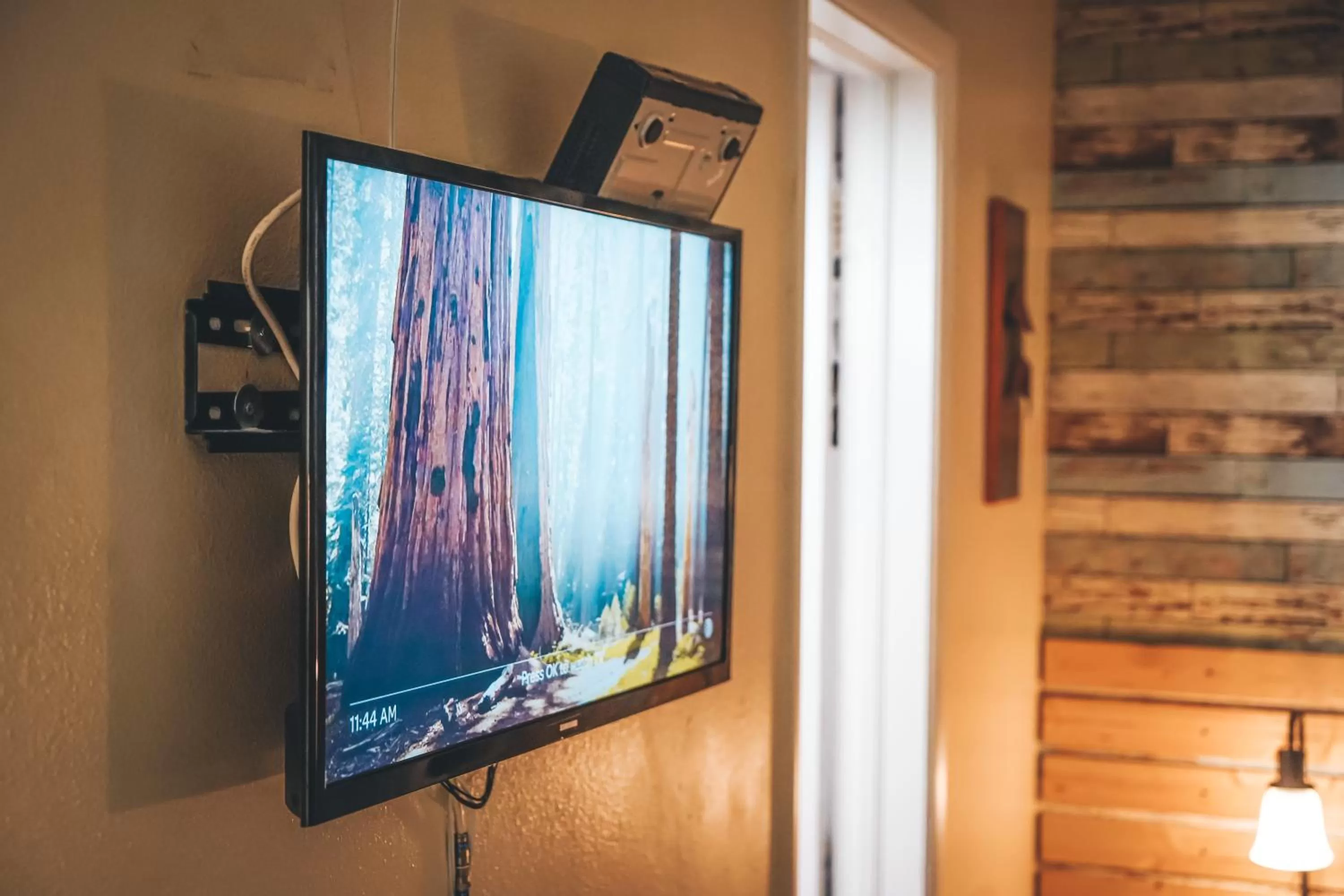 TV and multimedia in Hollywood Light Haven Lodge