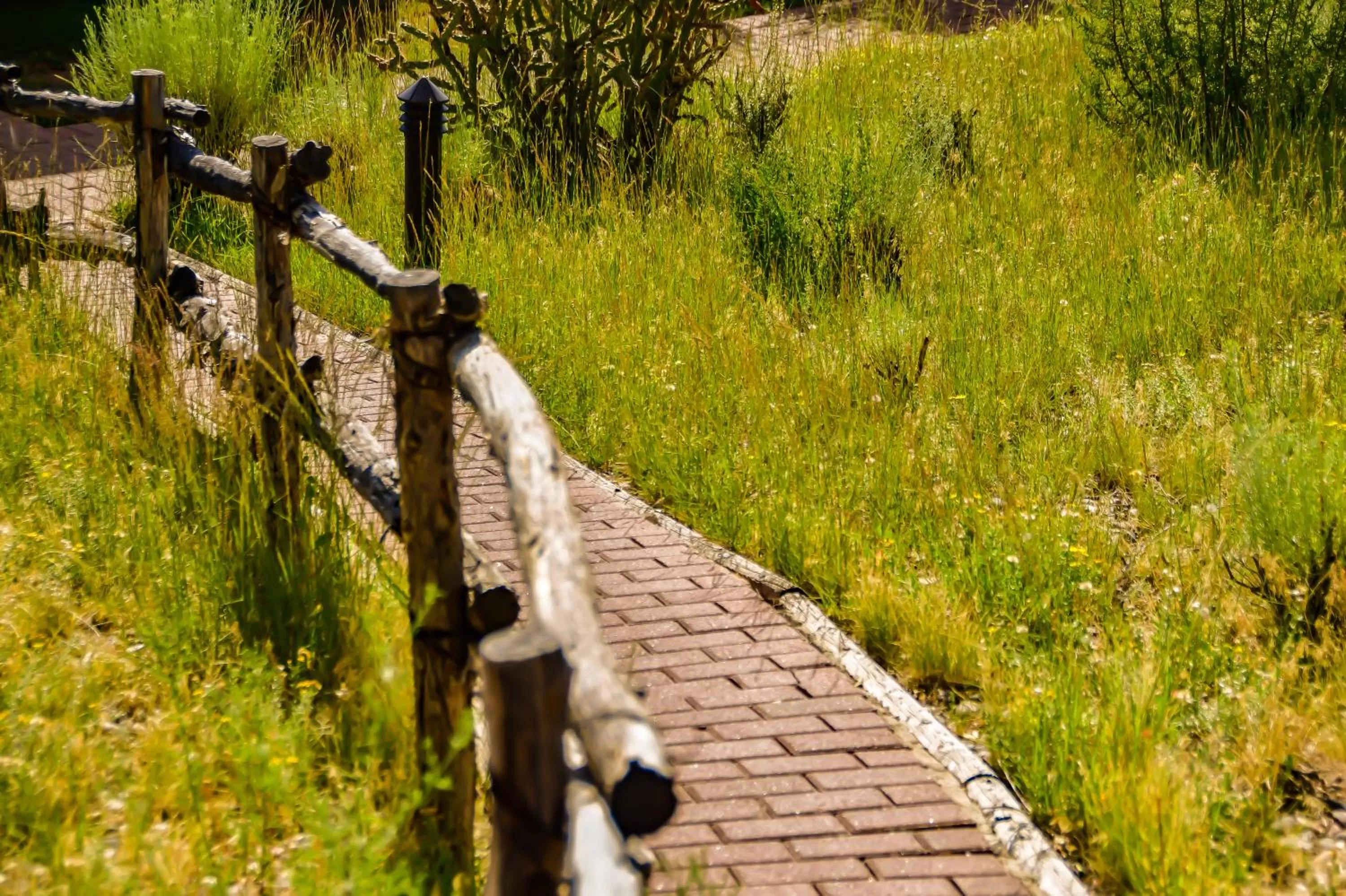Area and facilities in Fort Marcy Suites by All Seasons Resort Lodging