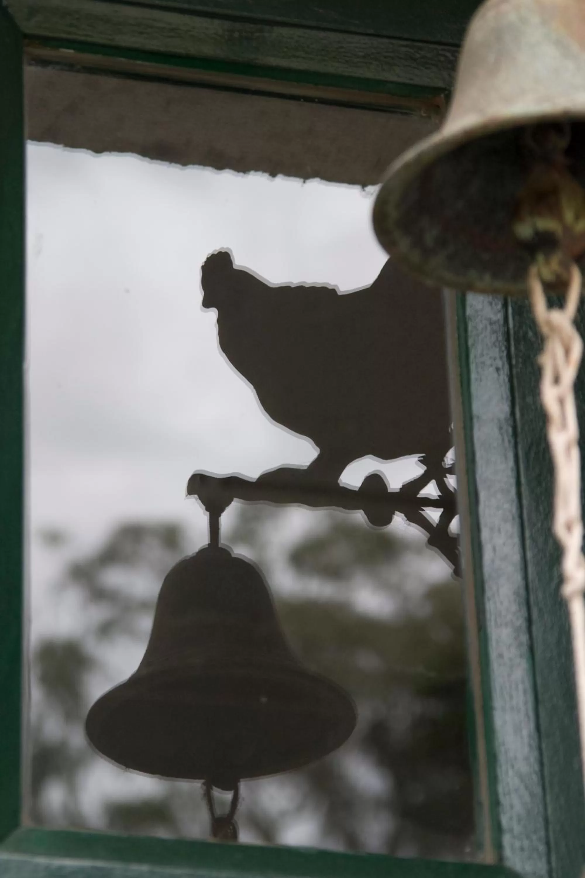Patio in Estancia Ave María