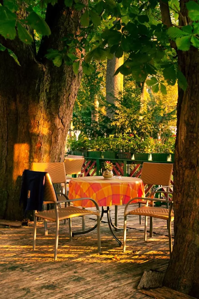 Balcony/Terrace in Landgasthof & Hotel Jagdhof