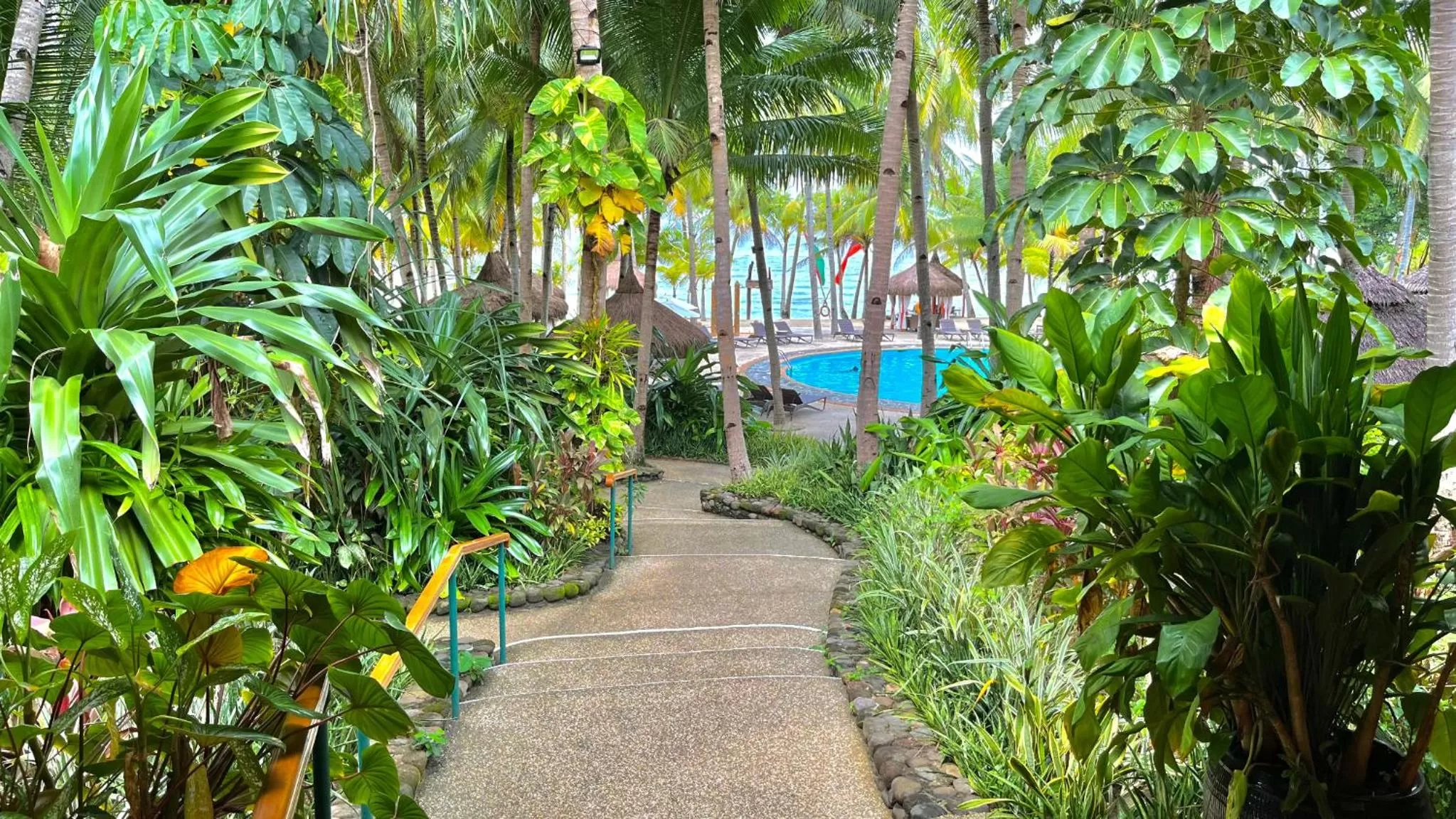 Pool view in Coco Grove Beach Resort, Siquijor Island