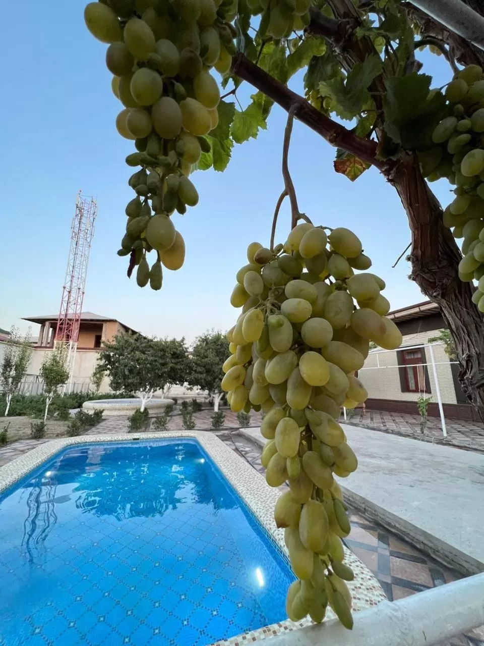 Garden in Samarabonu Hotel