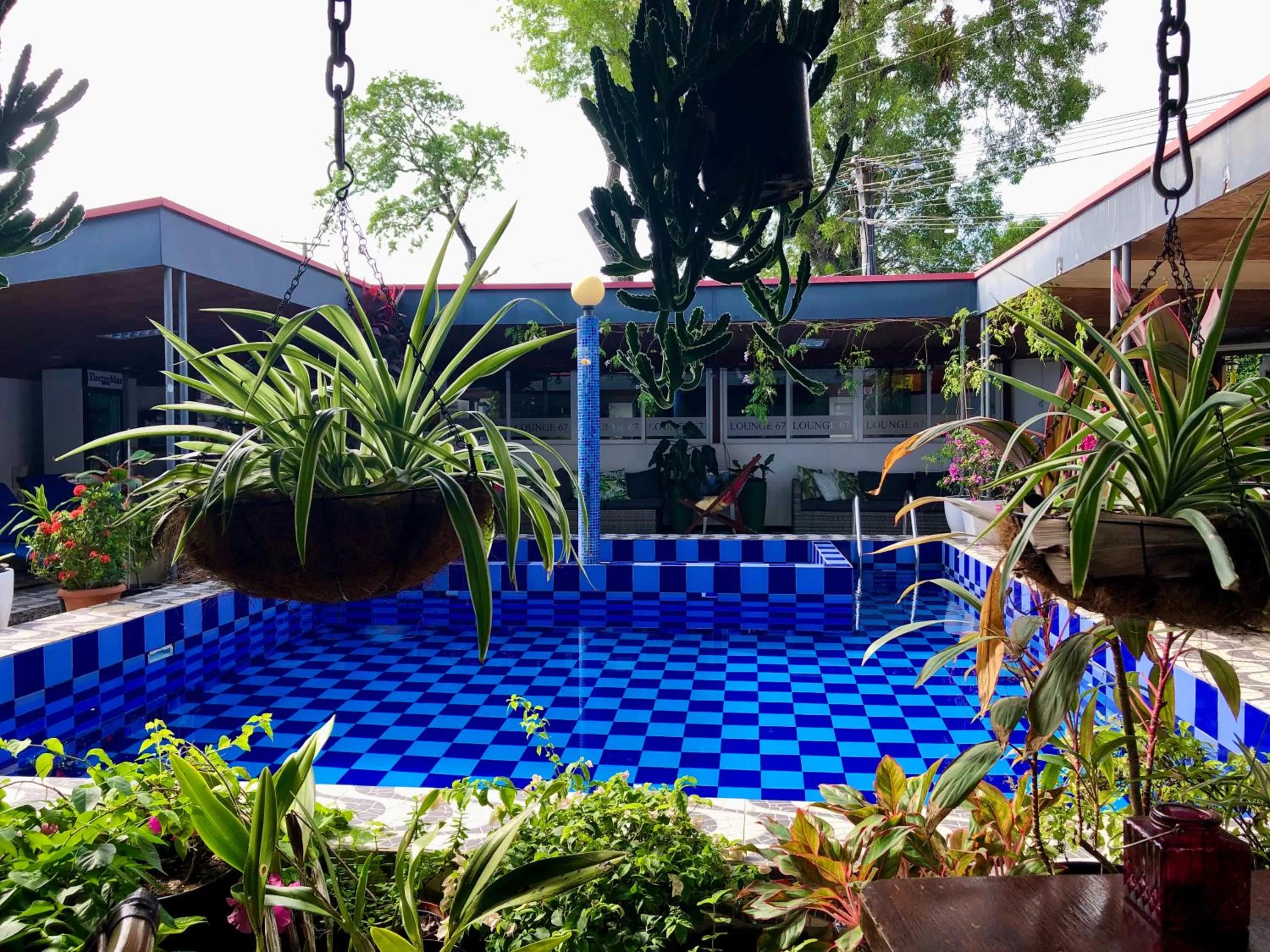 Swimming pool in Holland Lodge Paramaribo