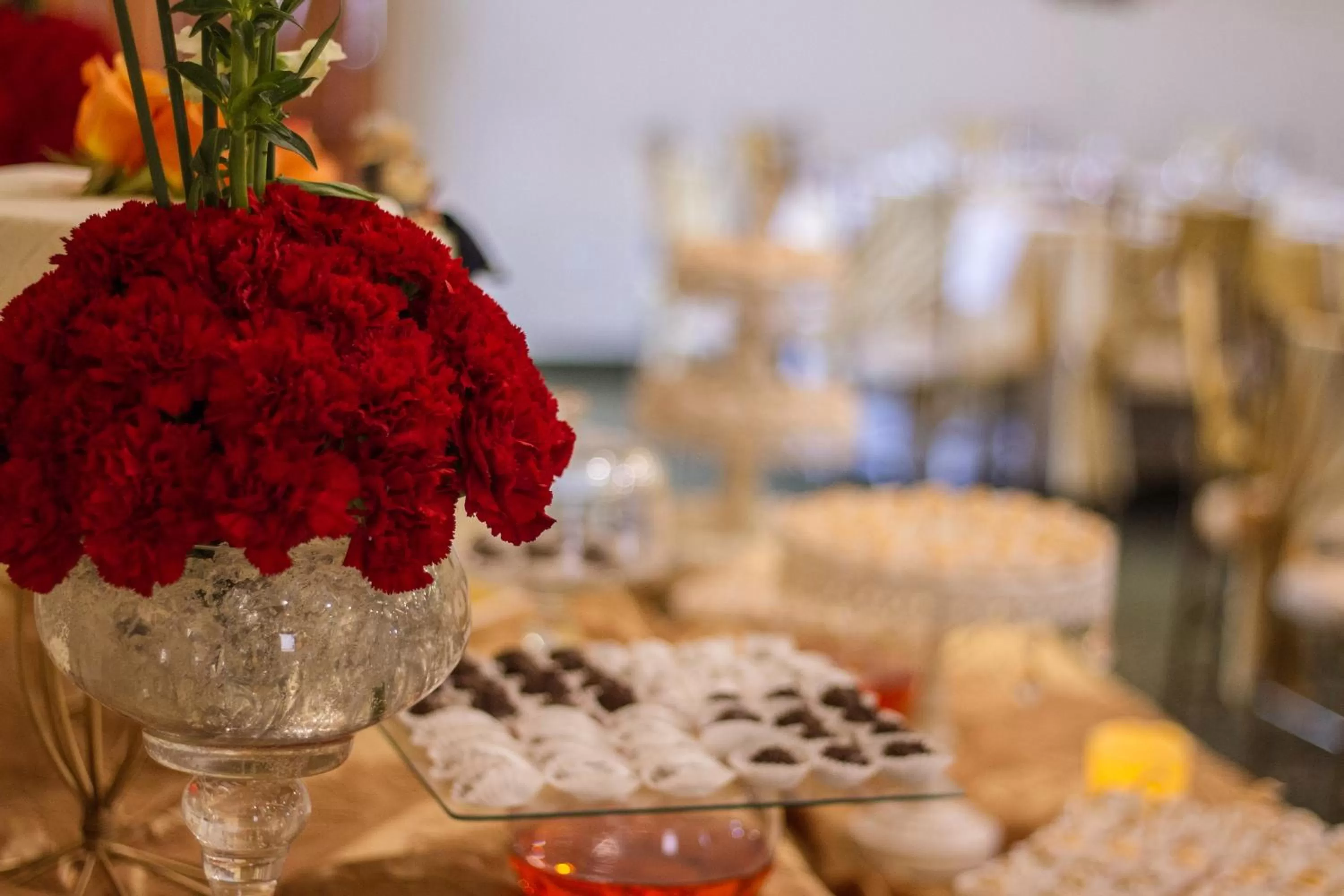 Banquet/Function facilities in Hotel Ajavi