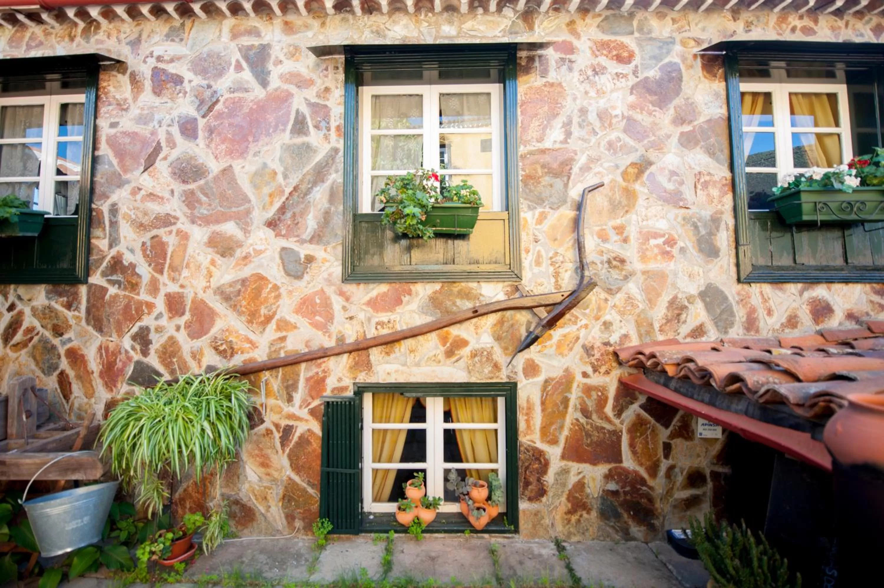 Area and facilities in Hotel Rural Senderos de Abona