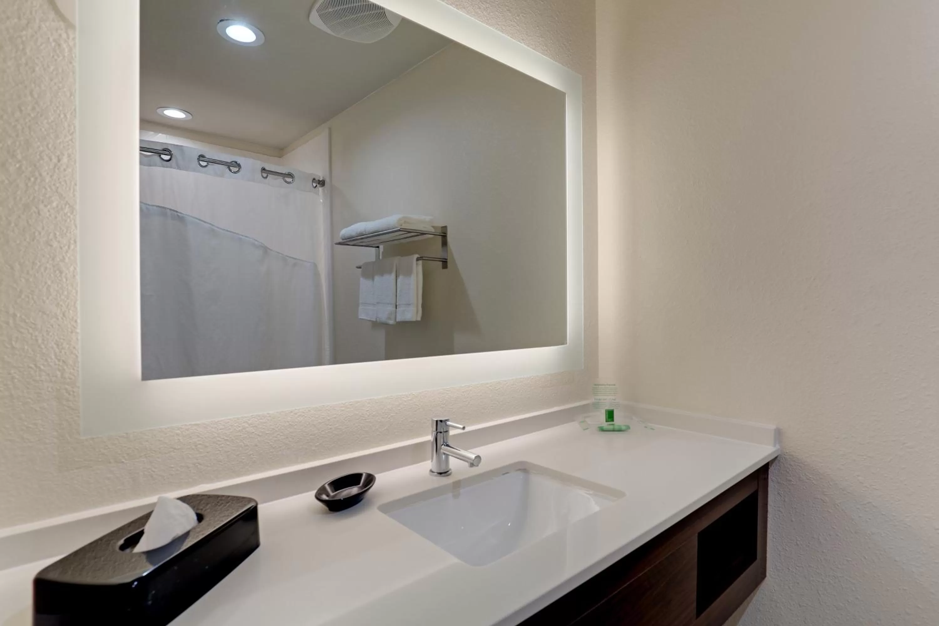 Shower in Holiday Inn Mobile Airport by IHG