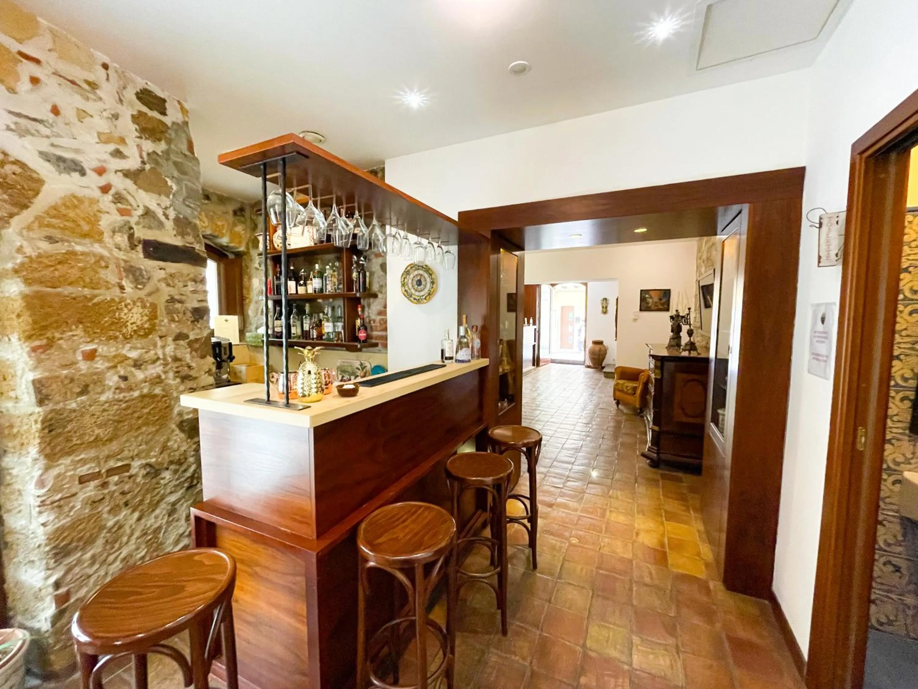 Lounge or bar in Hotel La Plumeria