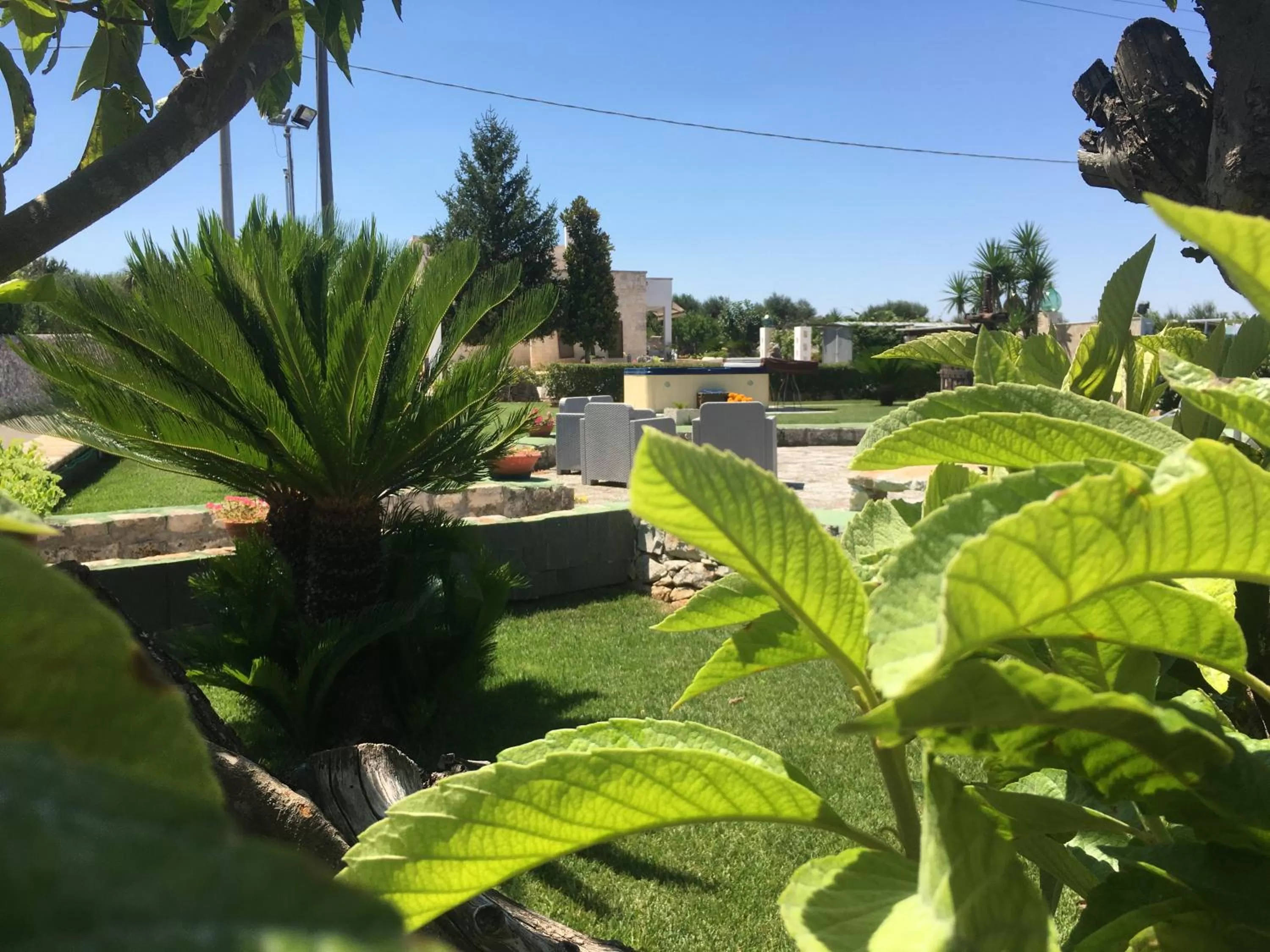 Garden view in B&B Villa Grassi
