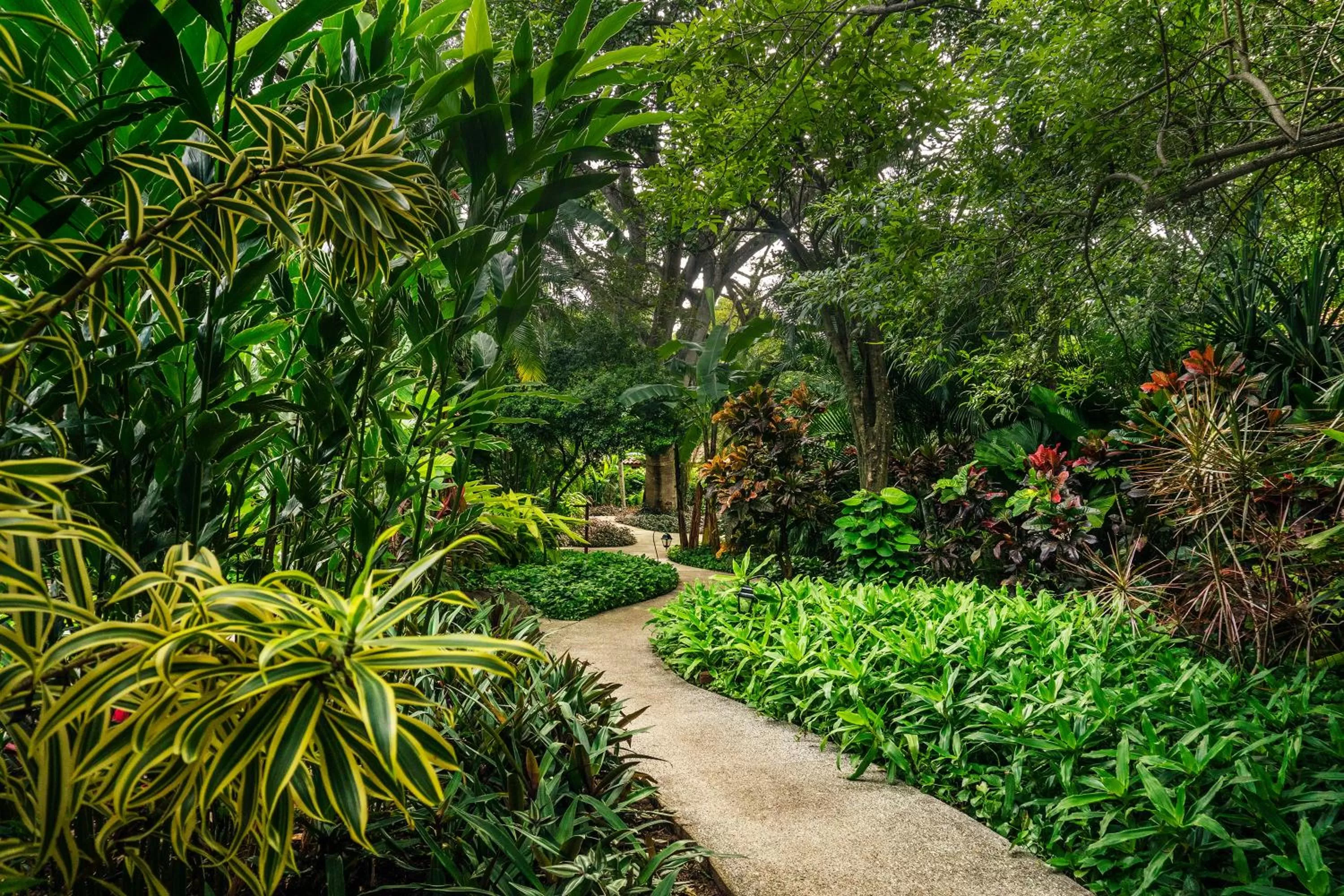 Garden in Capitán Suizo Beachfront Boutique Hotel