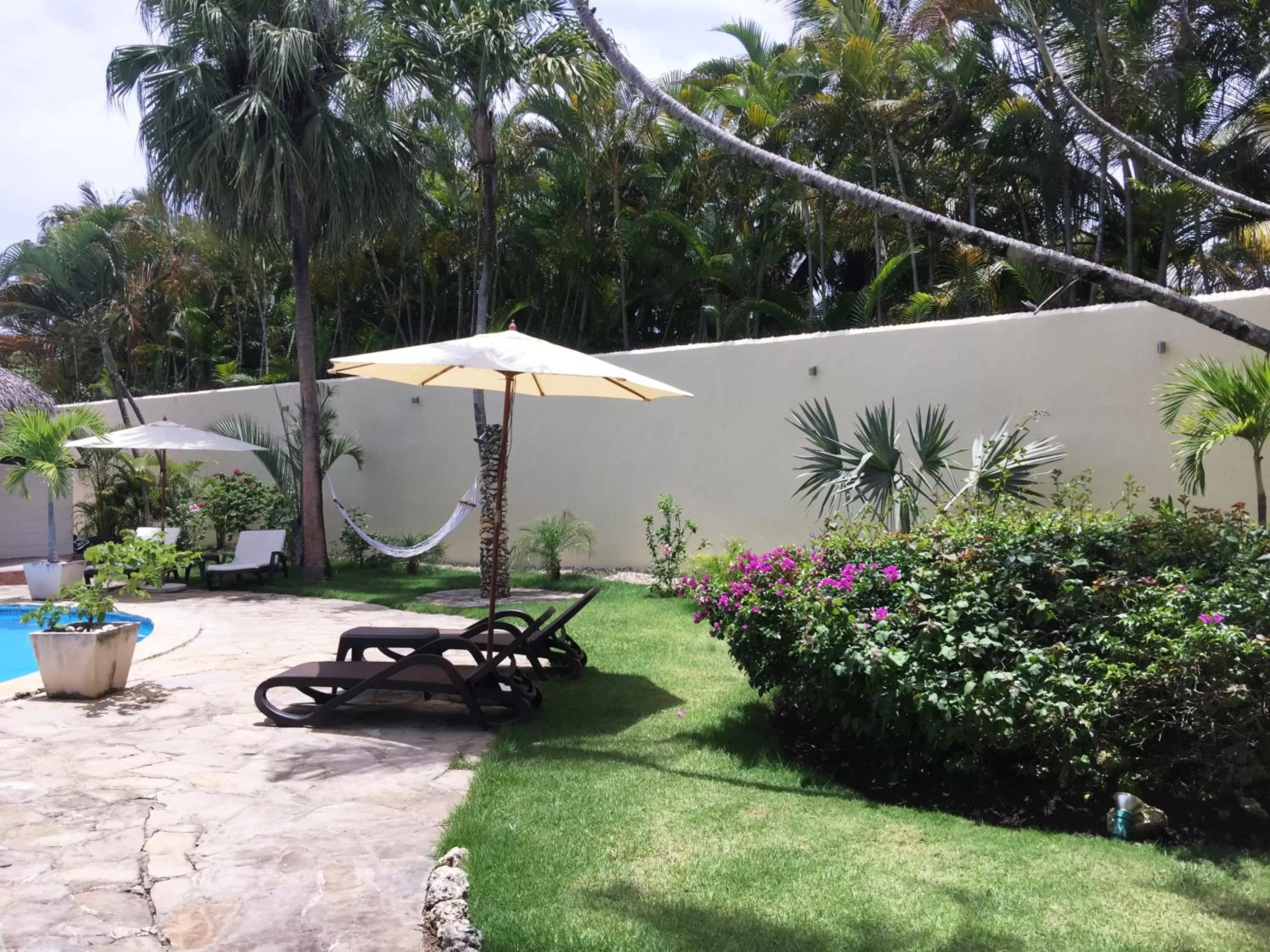 Garden view in Hotel Voramar