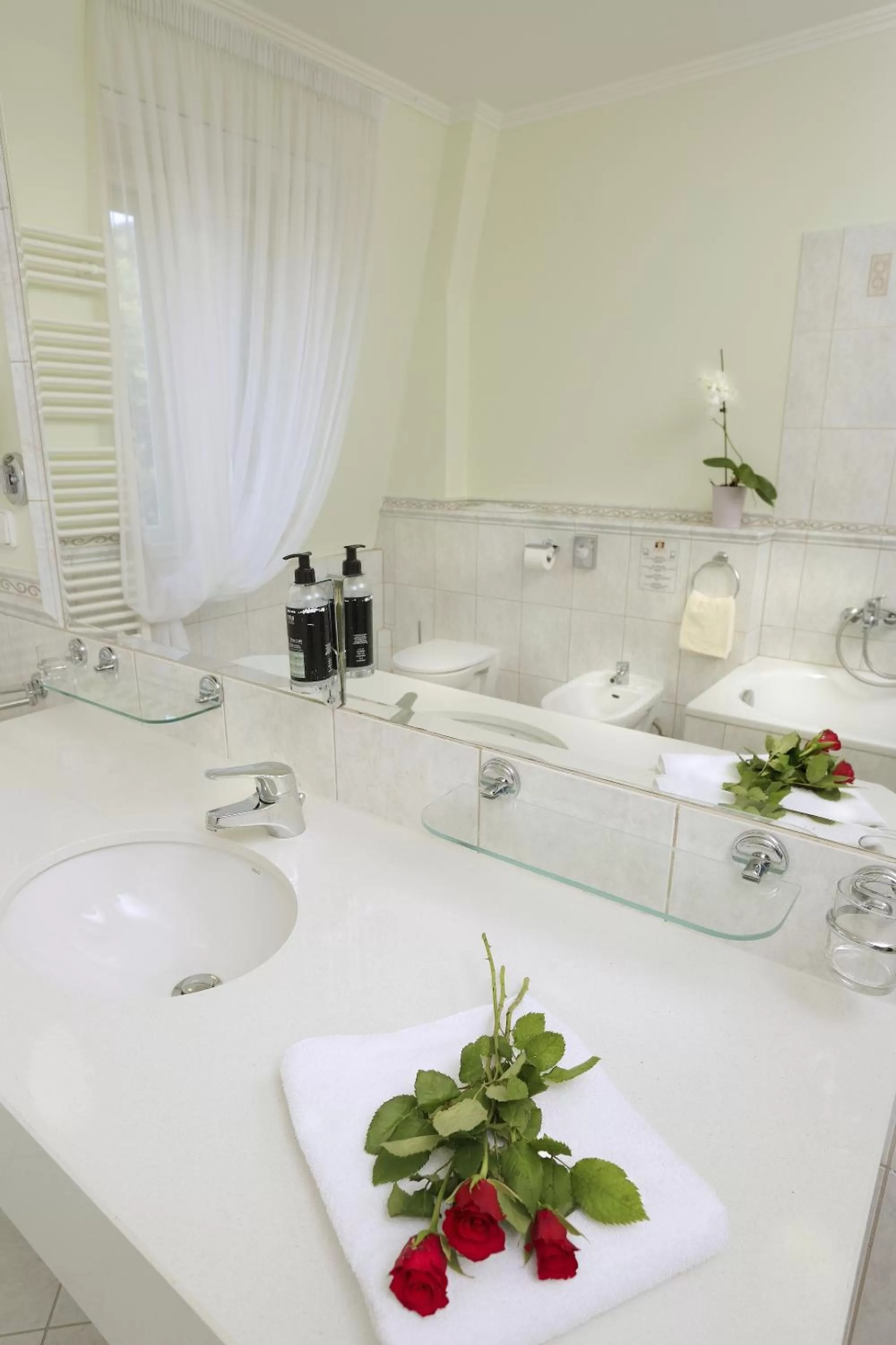 Bathroom in Hotel Mignon