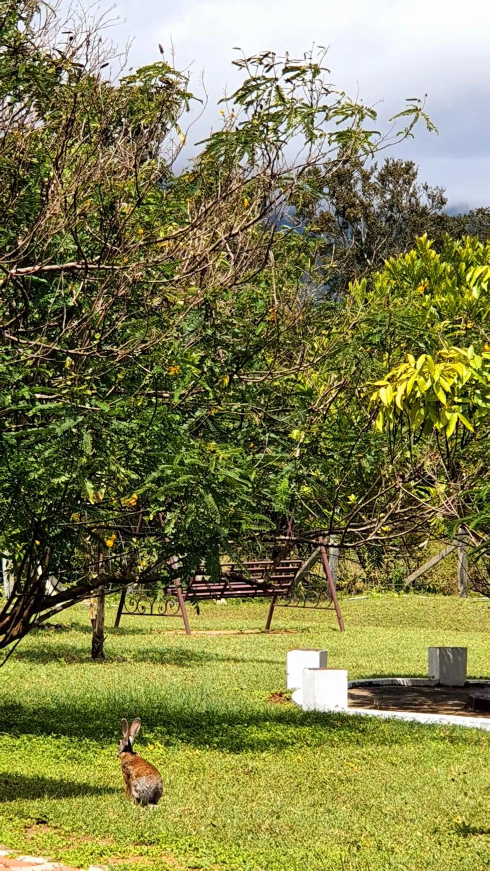 Garden in Avadale Masinagudi - Stag Groups Not Allowed