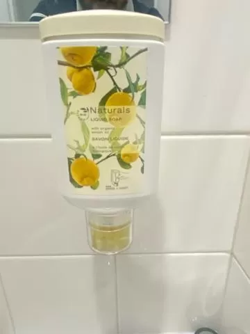 Shower in Tollgate Motel