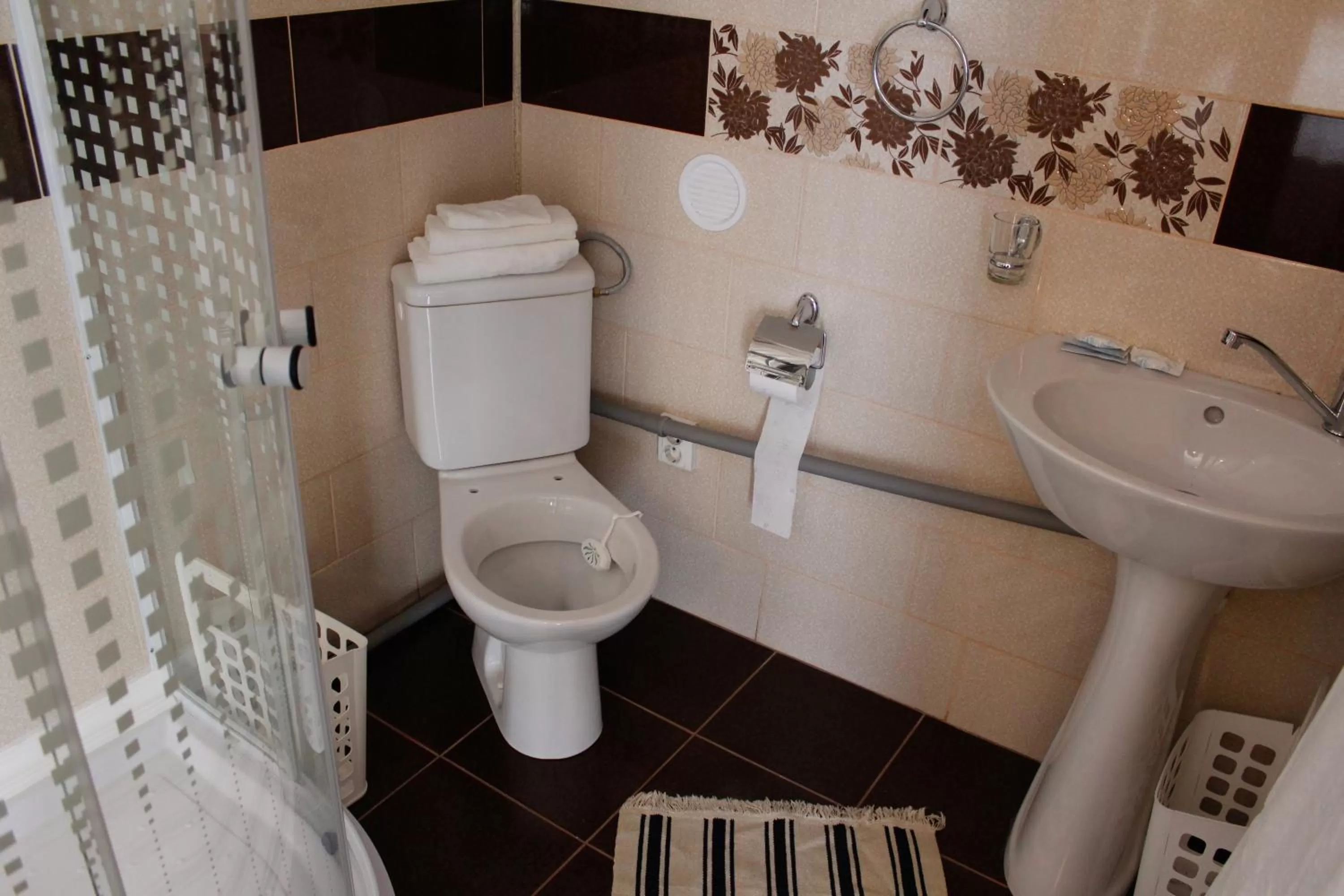 Bathroom in Pensiunea Taverna Bucium