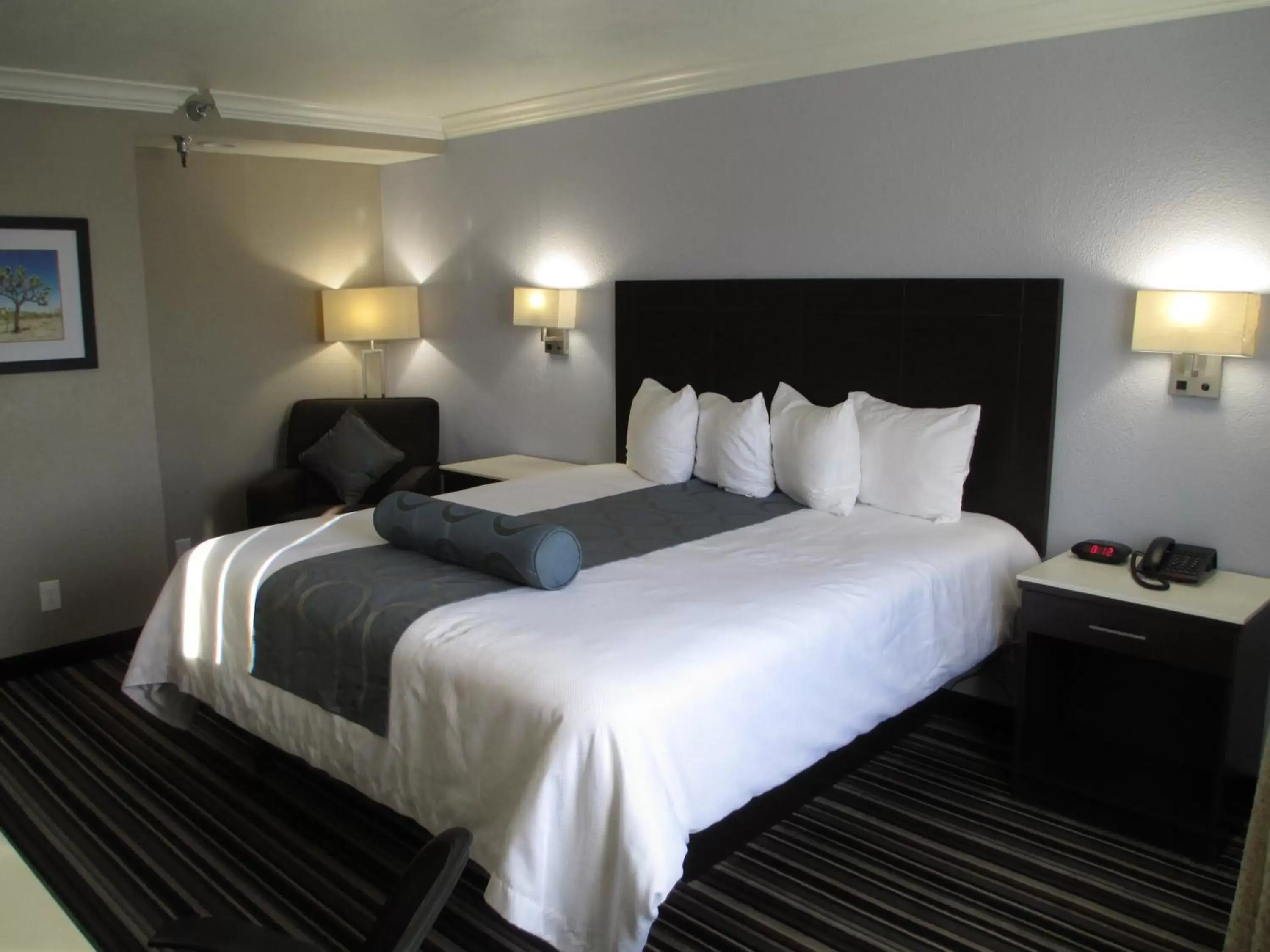 Queen Room with Roll-In Shower - Disability Access/Non-Smoking in Best Western Plus Diamond Valley Inn Queen Room with Roll-In Shower - Disability Access/Non-Smoking in Best Western Plus Diamond Valley Inn
