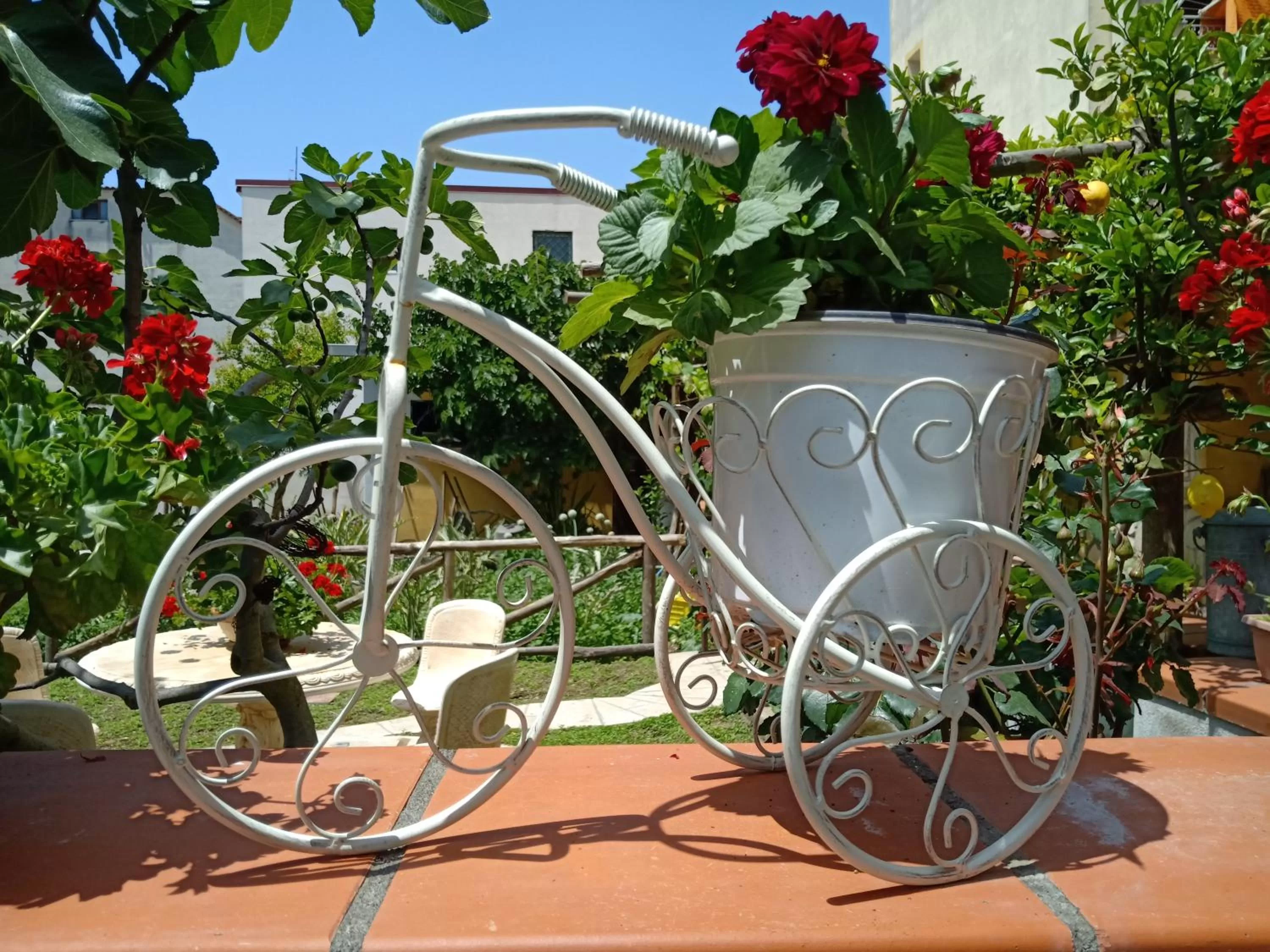 Garden in Buonocore Rooms