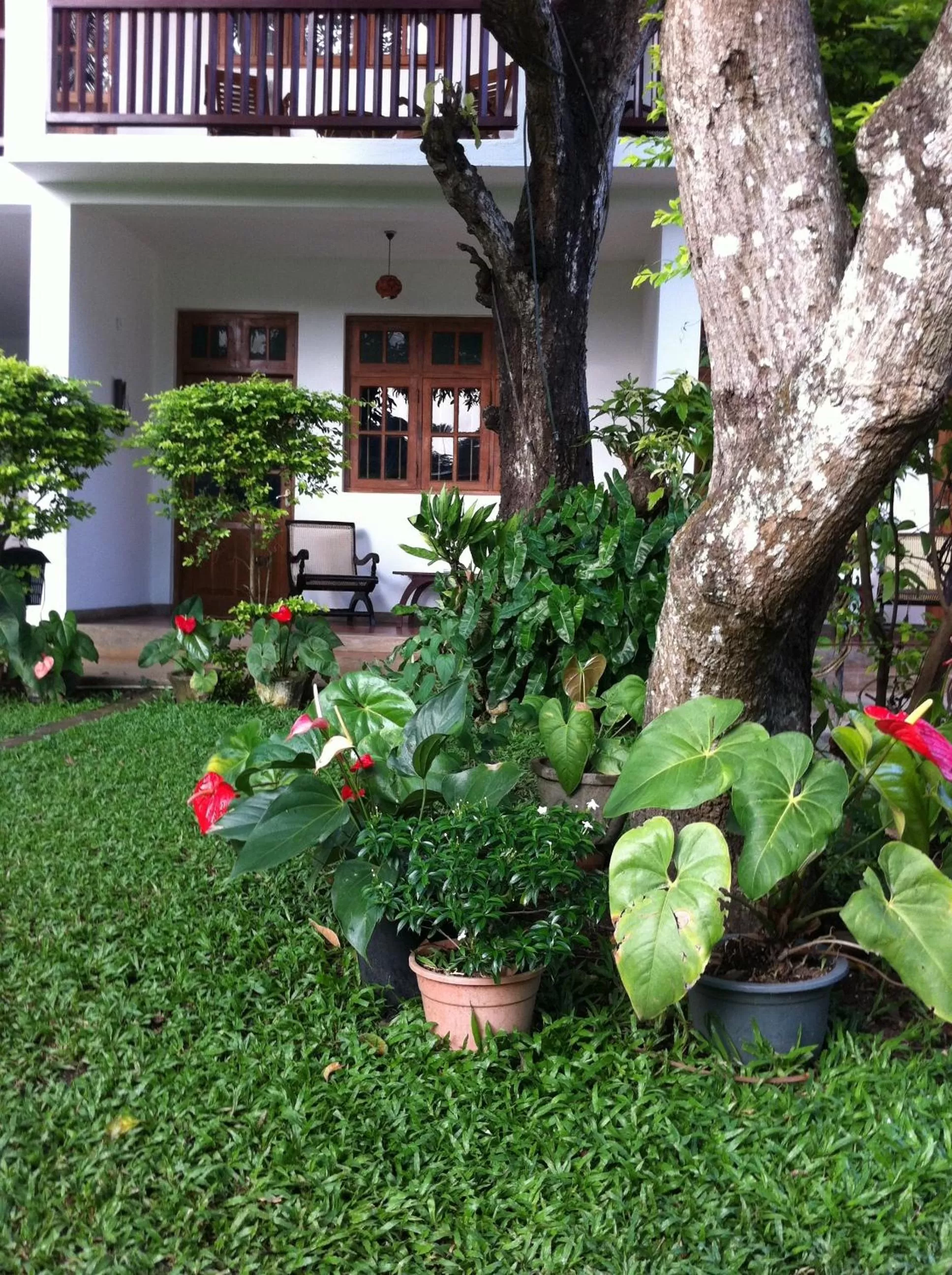 Day in Little Paradise Tourist Guest House and Holiday Home