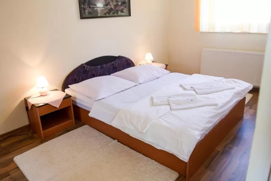 Apartment in Hotel Rubín