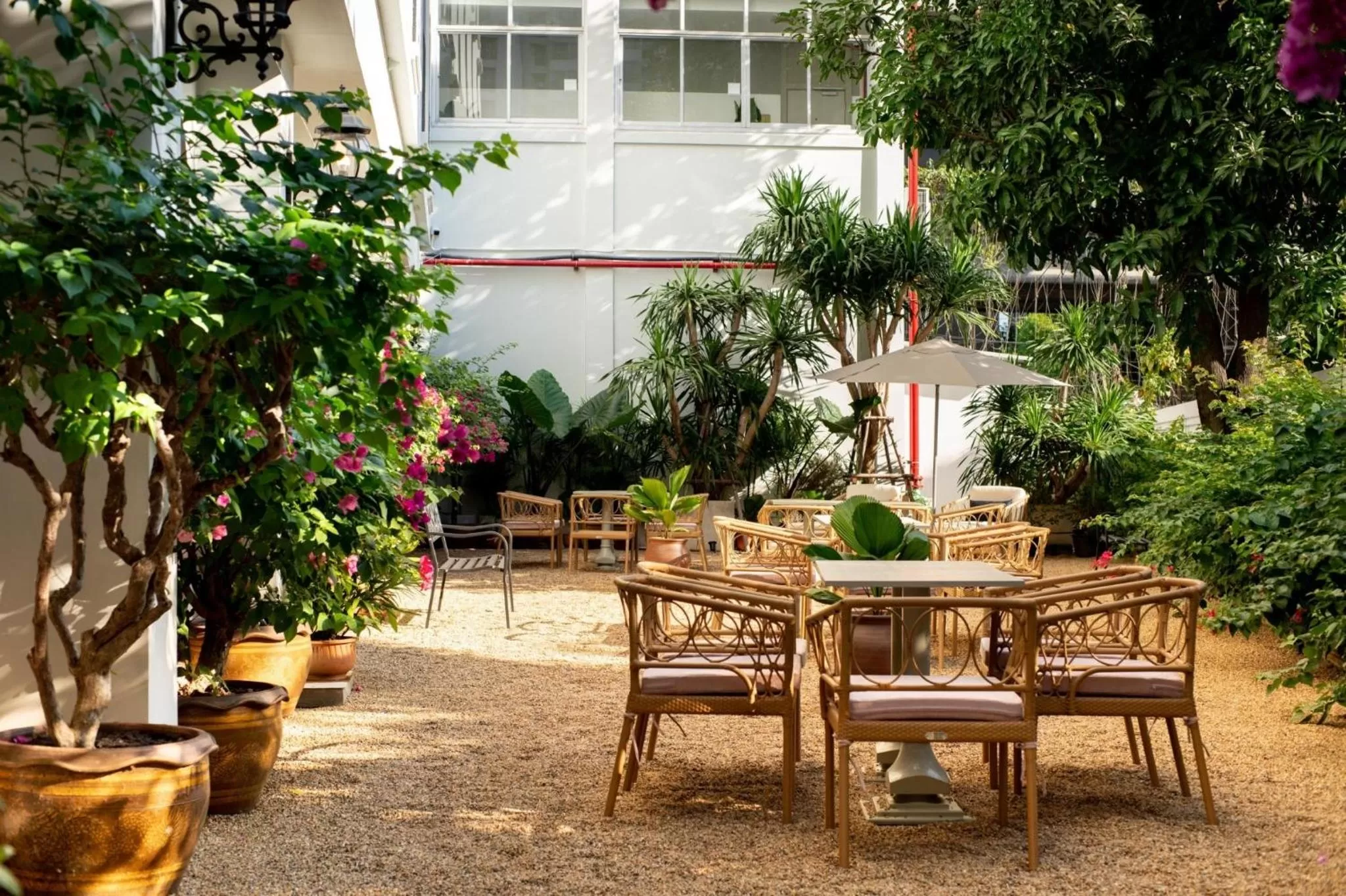 Garden in Hotel Thomas Bangkok