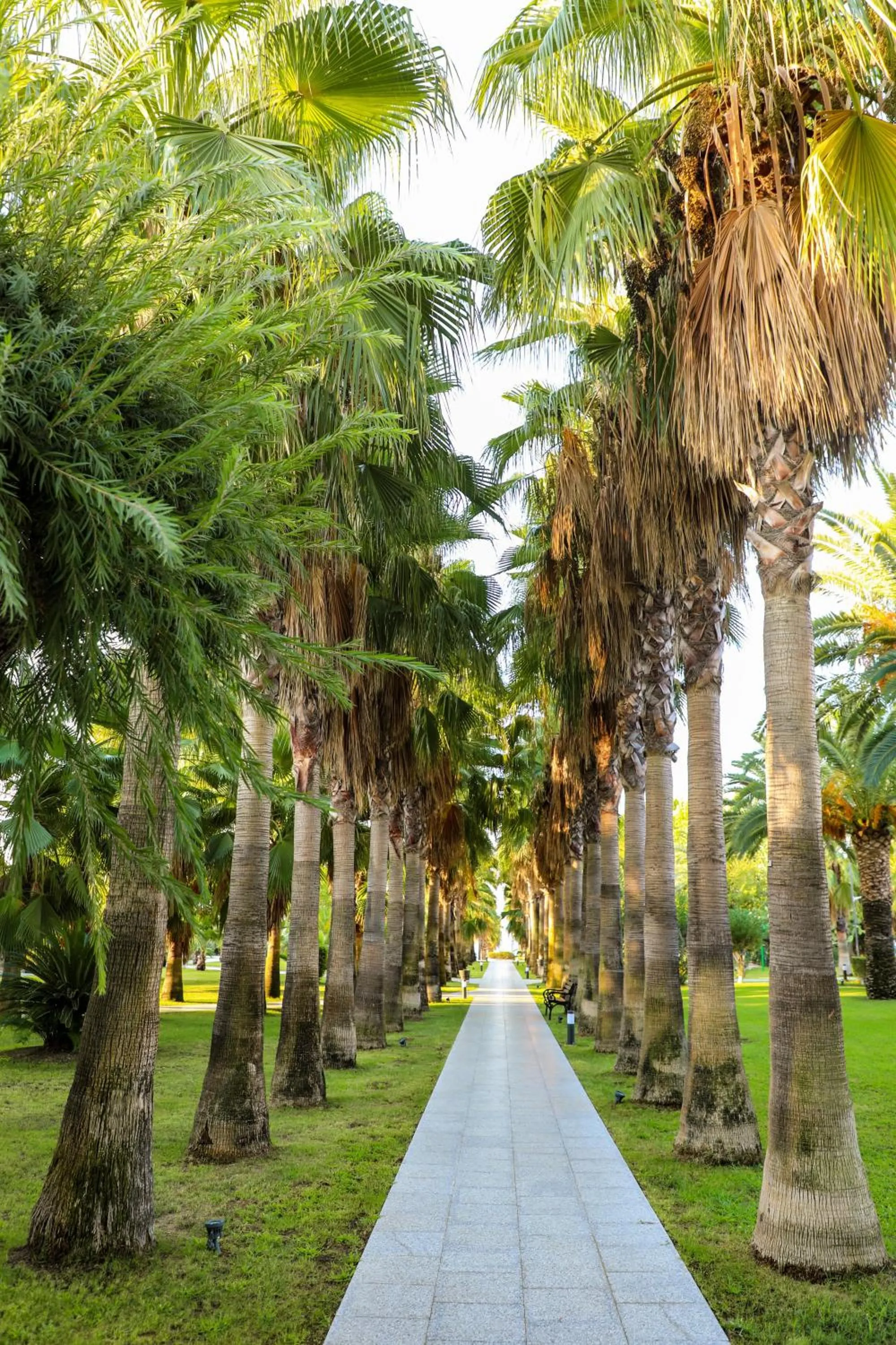 Garden in Miramare Beach Hotel - Ultra All Inclusive