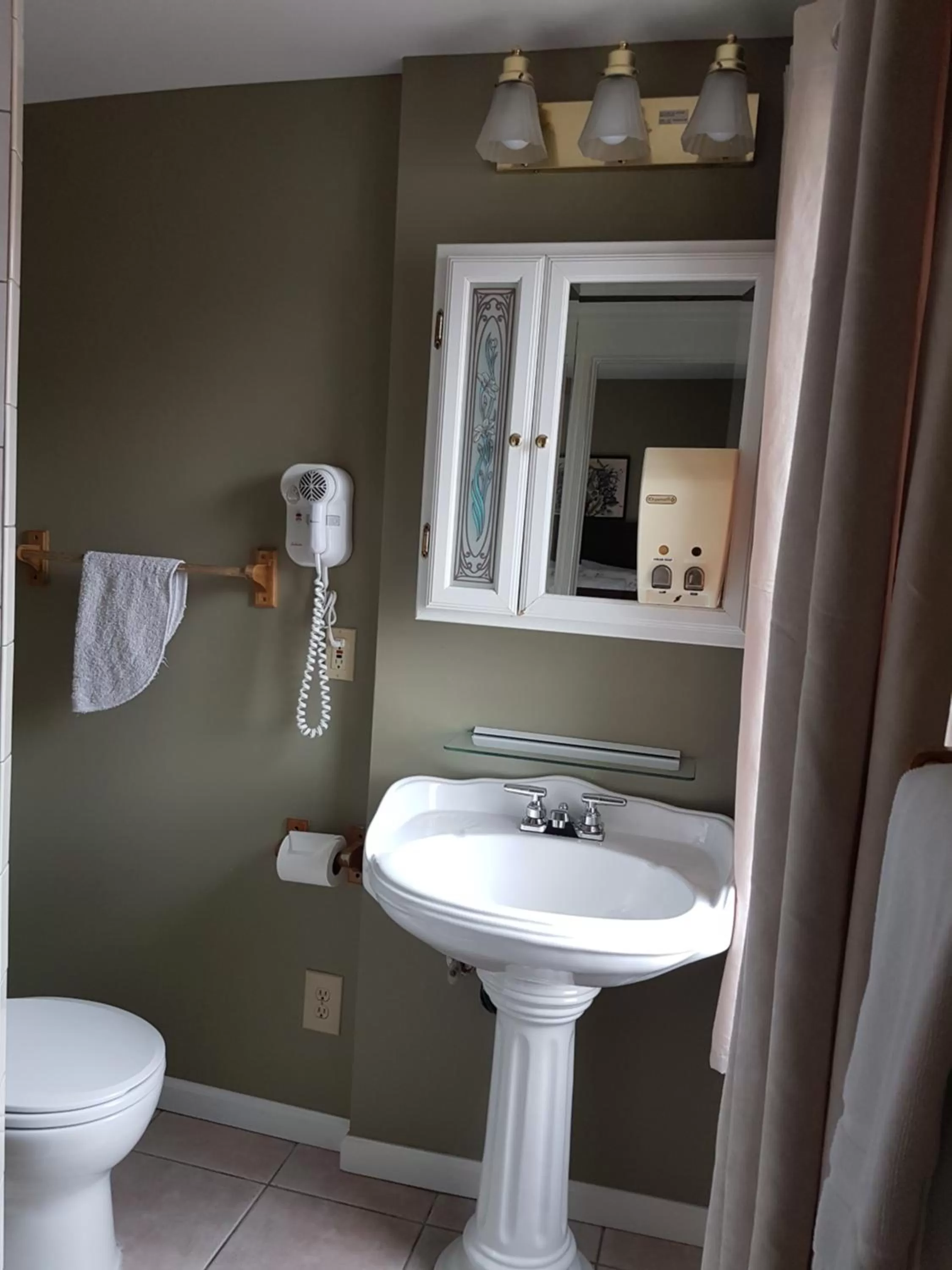 Bathroom in Ye Olde Walkerville Bed & Breakfast