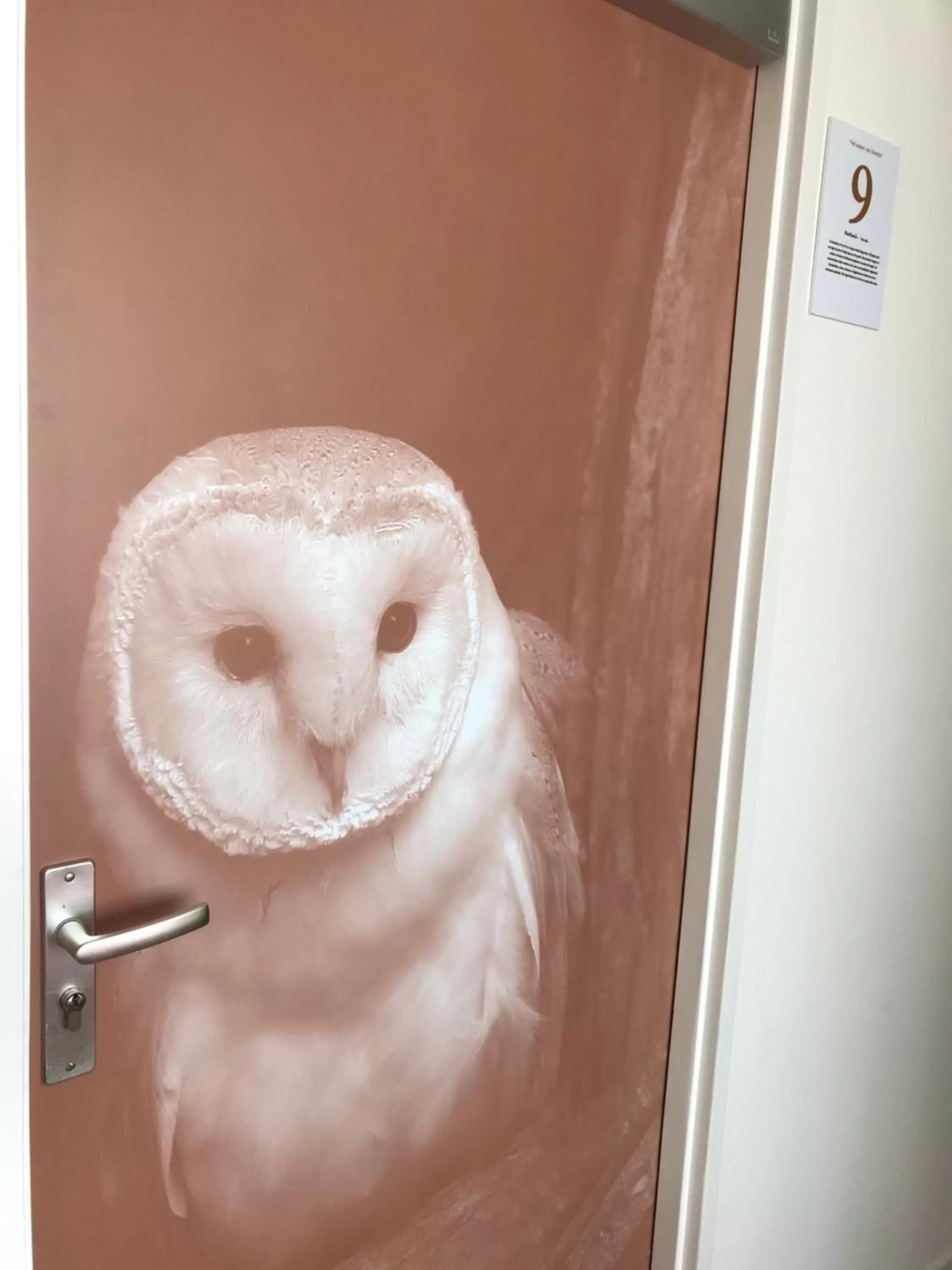 Decorative detail, Bathroom in Hotel Het Wapen van Drenthe