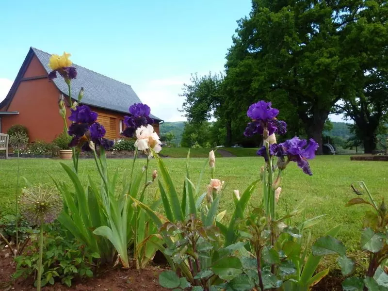 Garden in Chambre d'Hotes Le Ponsonnet