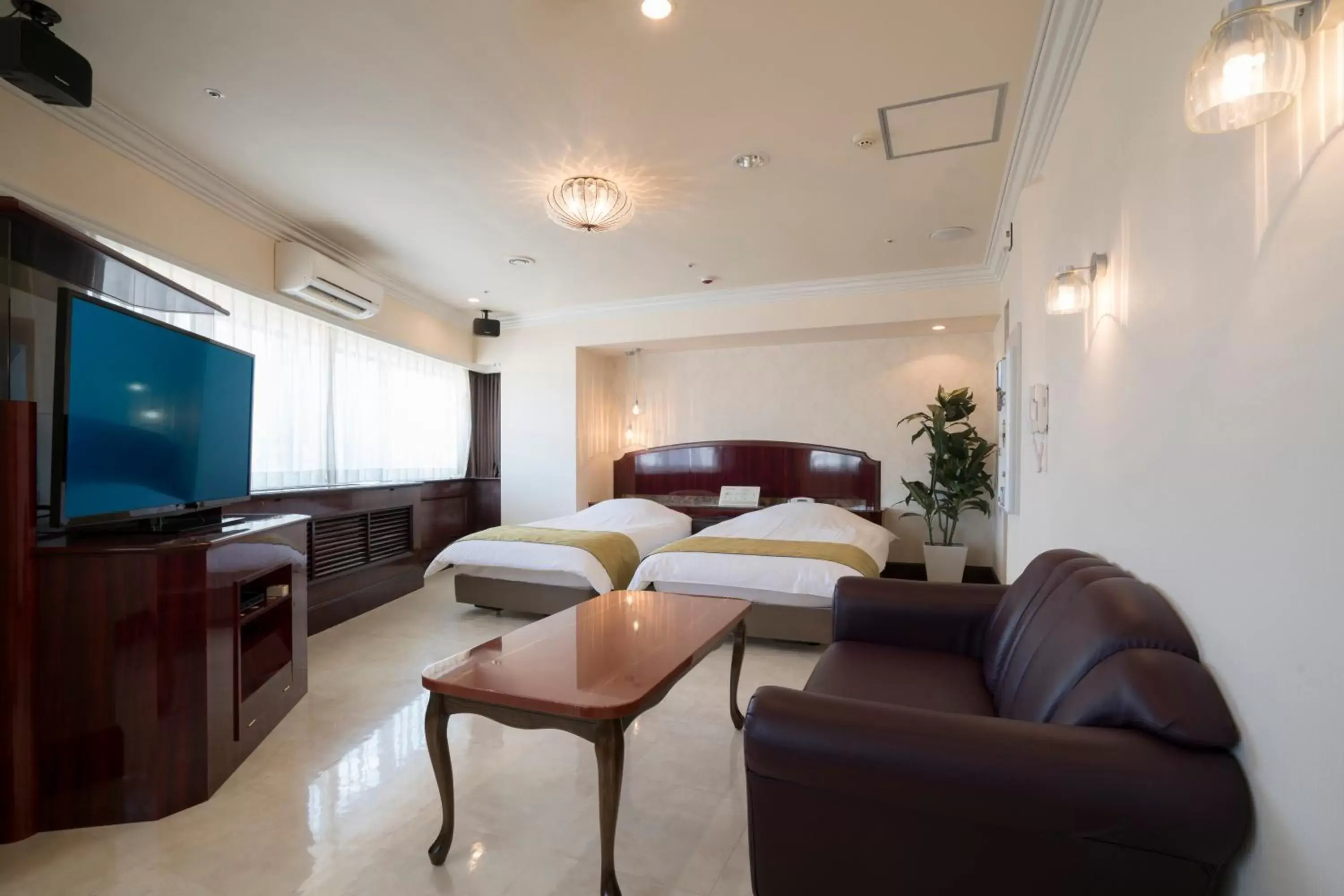 Deluxe Twin Room in Hotel Alps Deluxe Twin Room in Hotel Alps