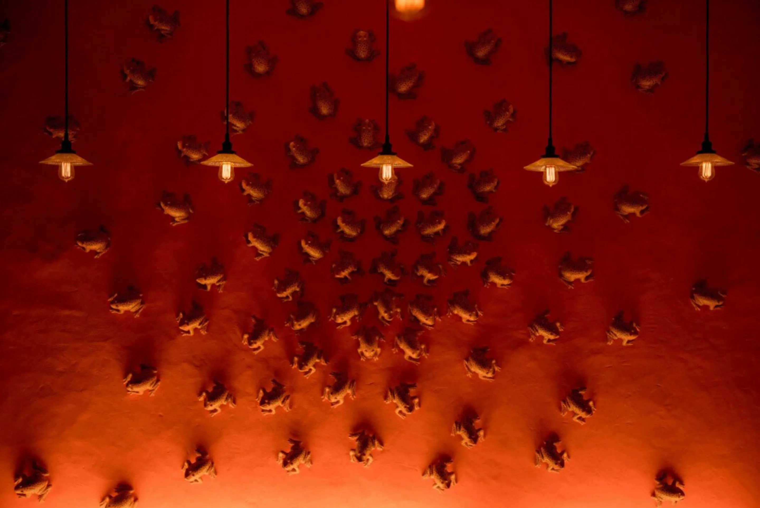 Restaurant/places to eat in Casa Lum