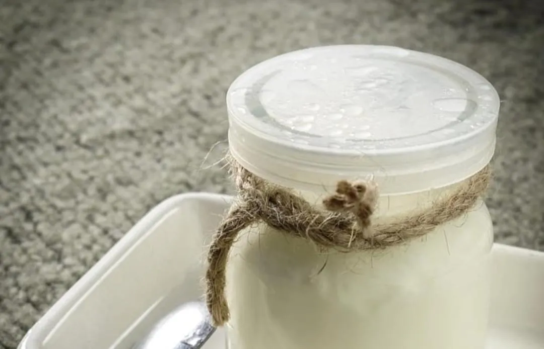 Food in Affittacamere San Teodoro