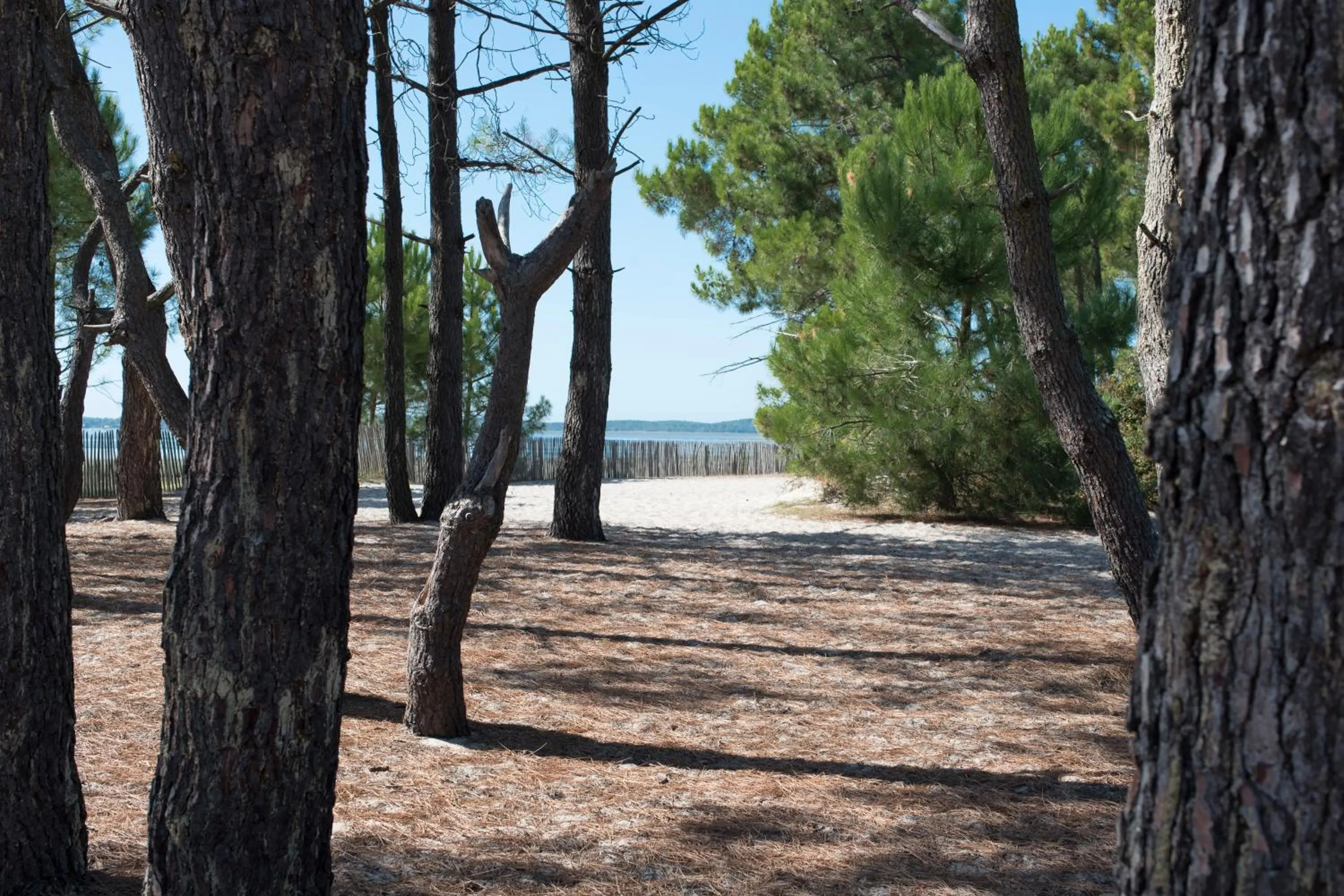 Property building in L'Anderenis Boutique Hôtel