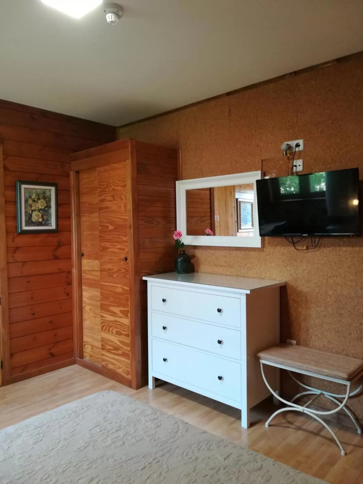 TV/Entertainment Center in El Racó de la Pintora "Adults Only"