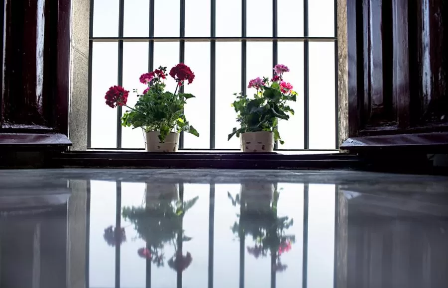 View (from property/room) in Hotel Alcázar de la Reina