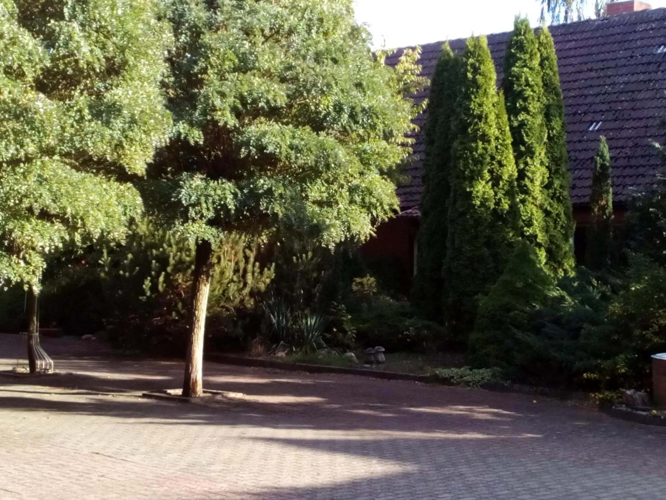 Hotel Leppiner Hof - B&B FRÜHSTÜCKSPENSION