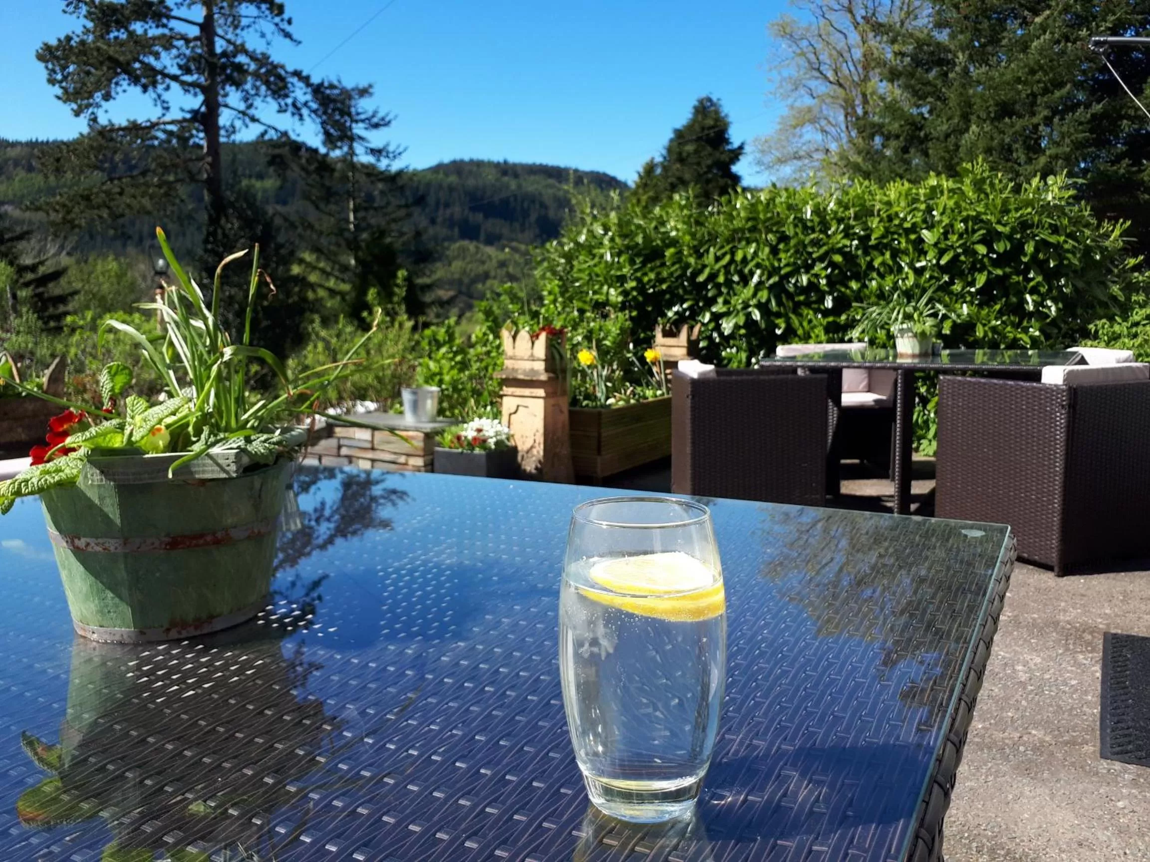Patio, Swimming Pool in Aberconwy House B&B