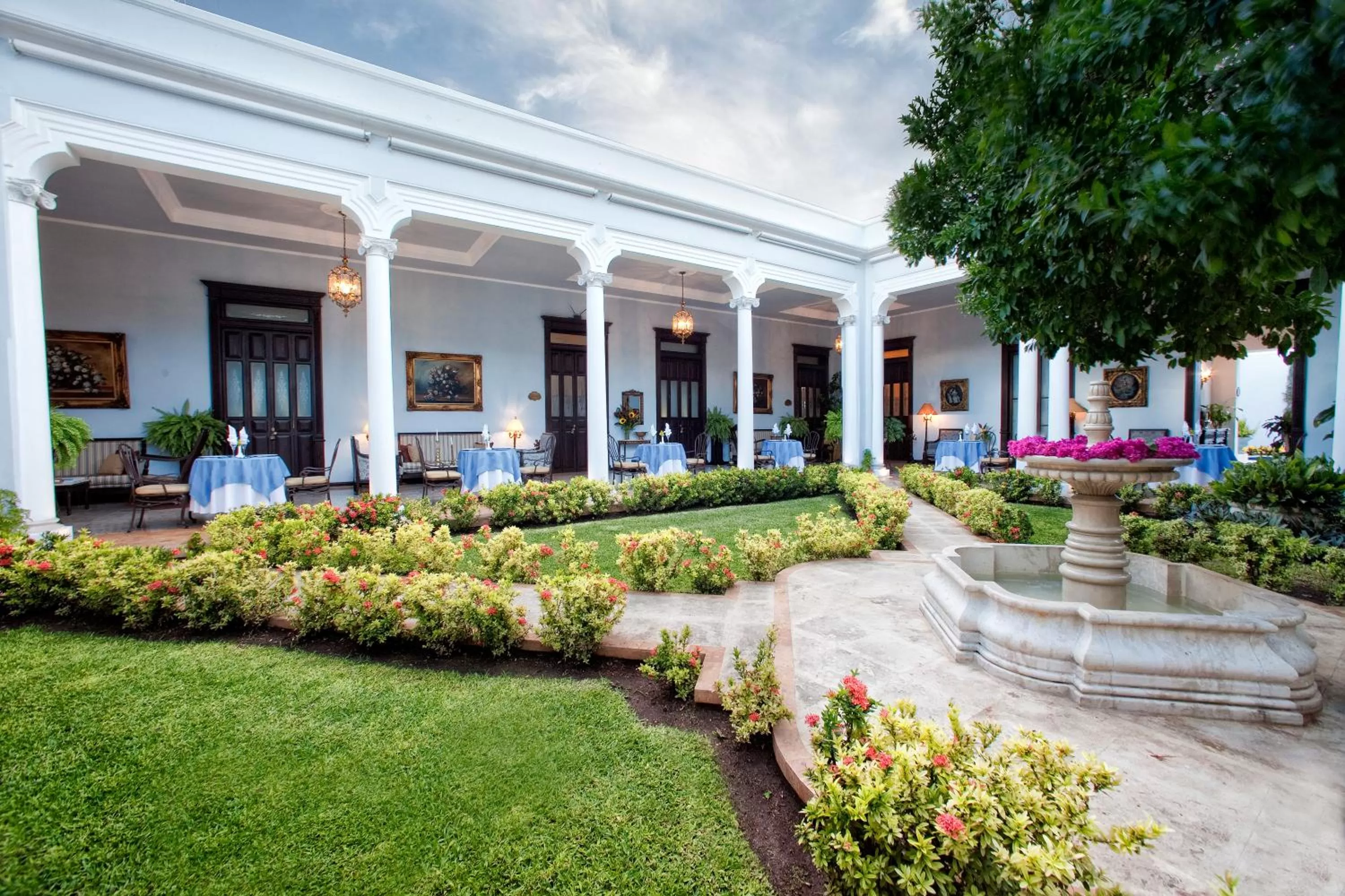 Garden in Casa Azul Monumento Historico